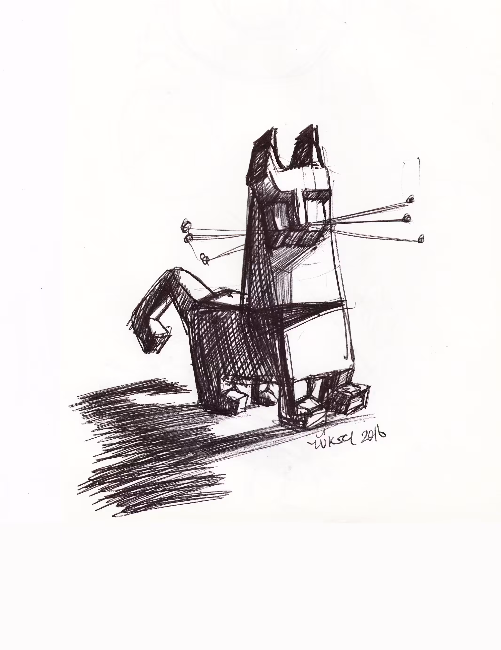 cat