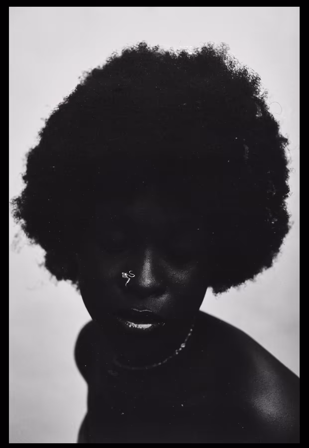 Black Bird