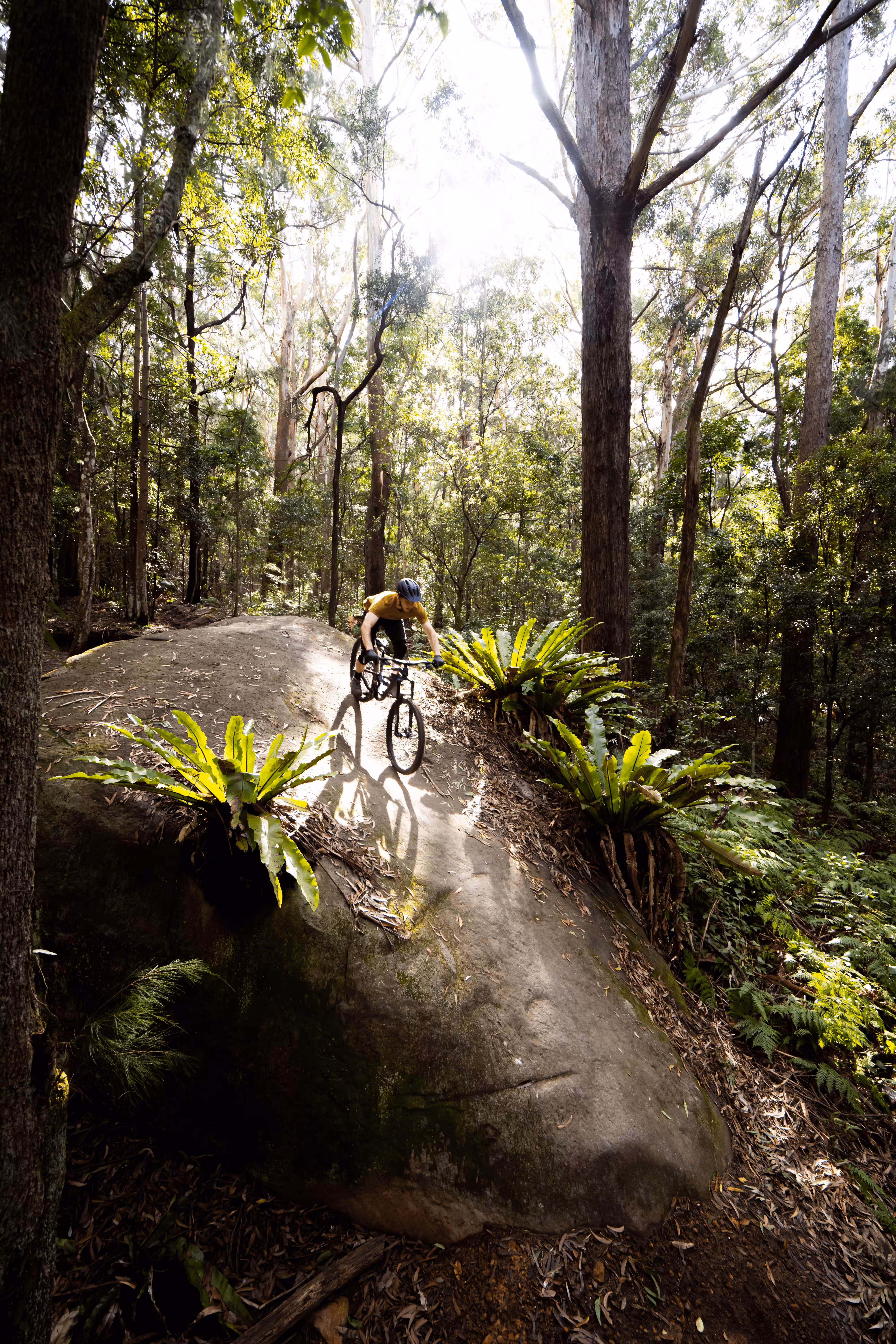 Mountainbike Origins #15. Rock N Roll