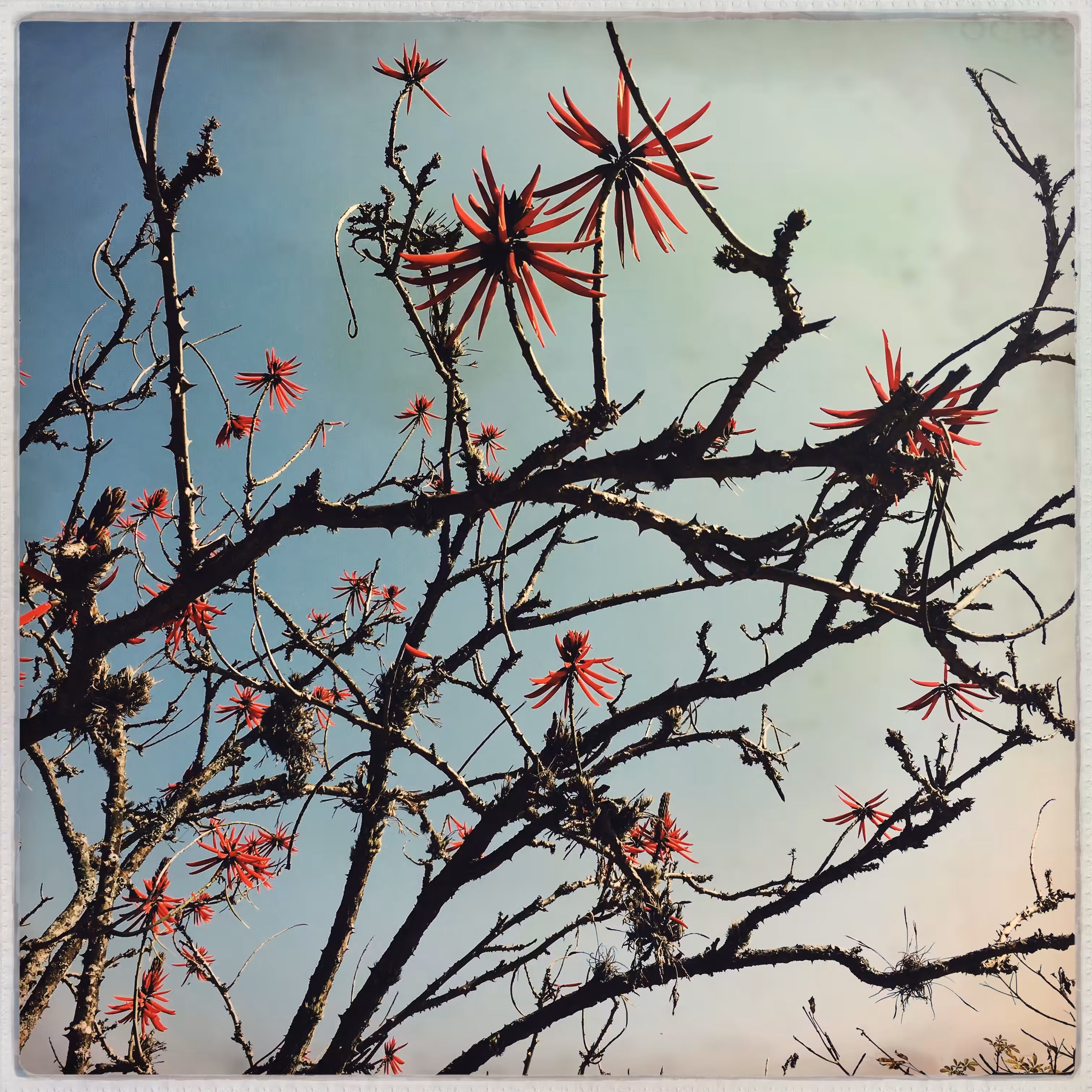 Branches #3