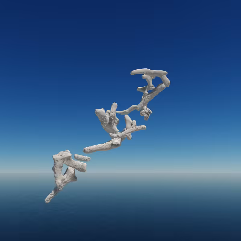 Bone Work (Gulf of Mexico) 2022 #25