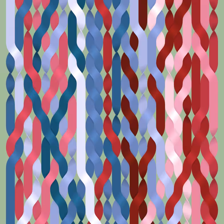 Endless Braids #80