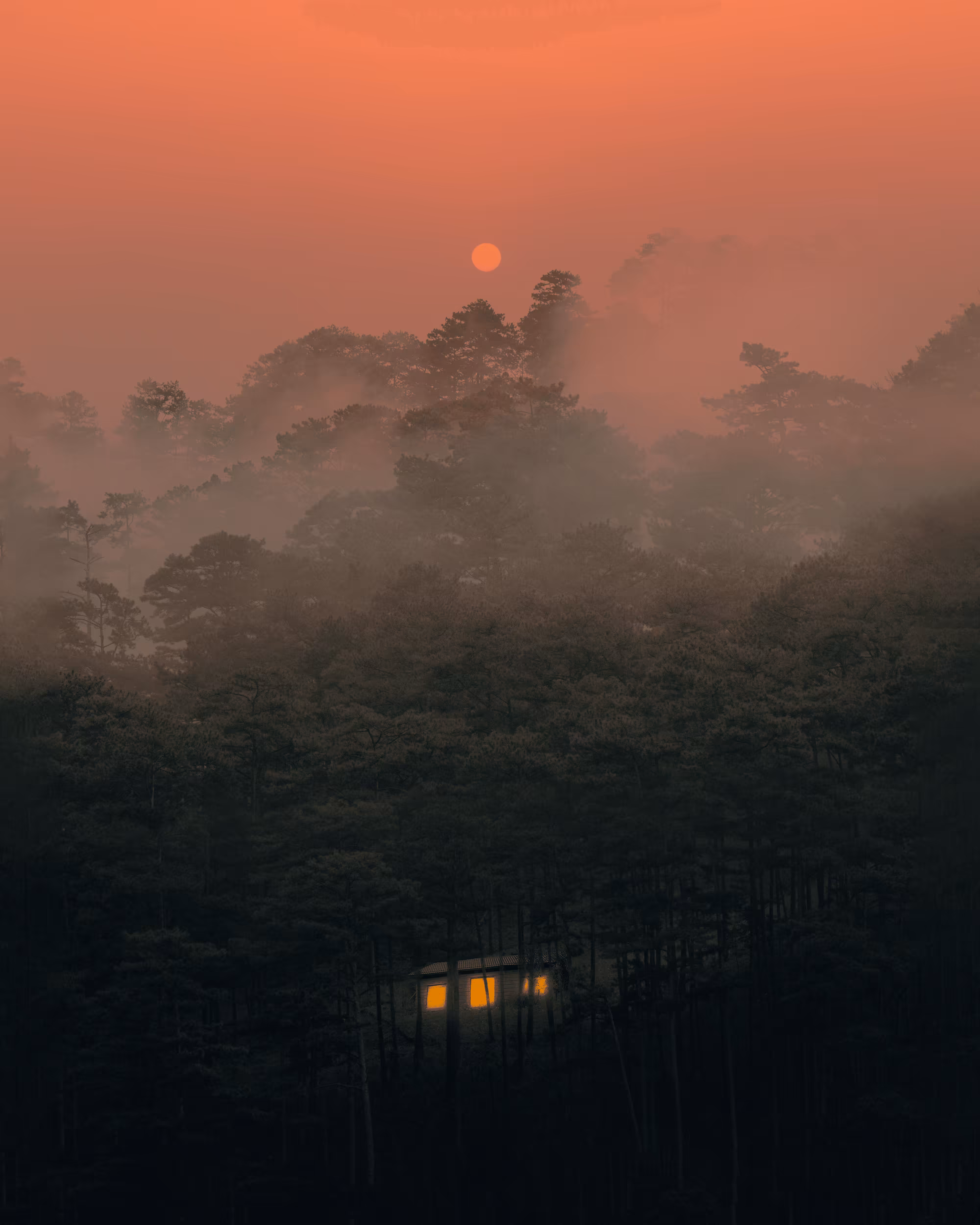 Solace in Solitude