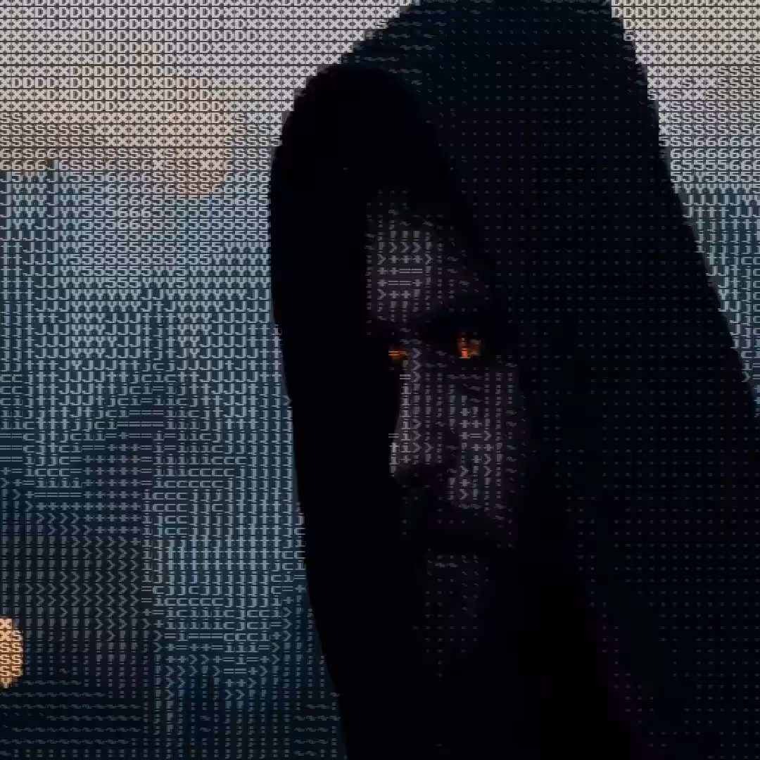 The Matrix #2