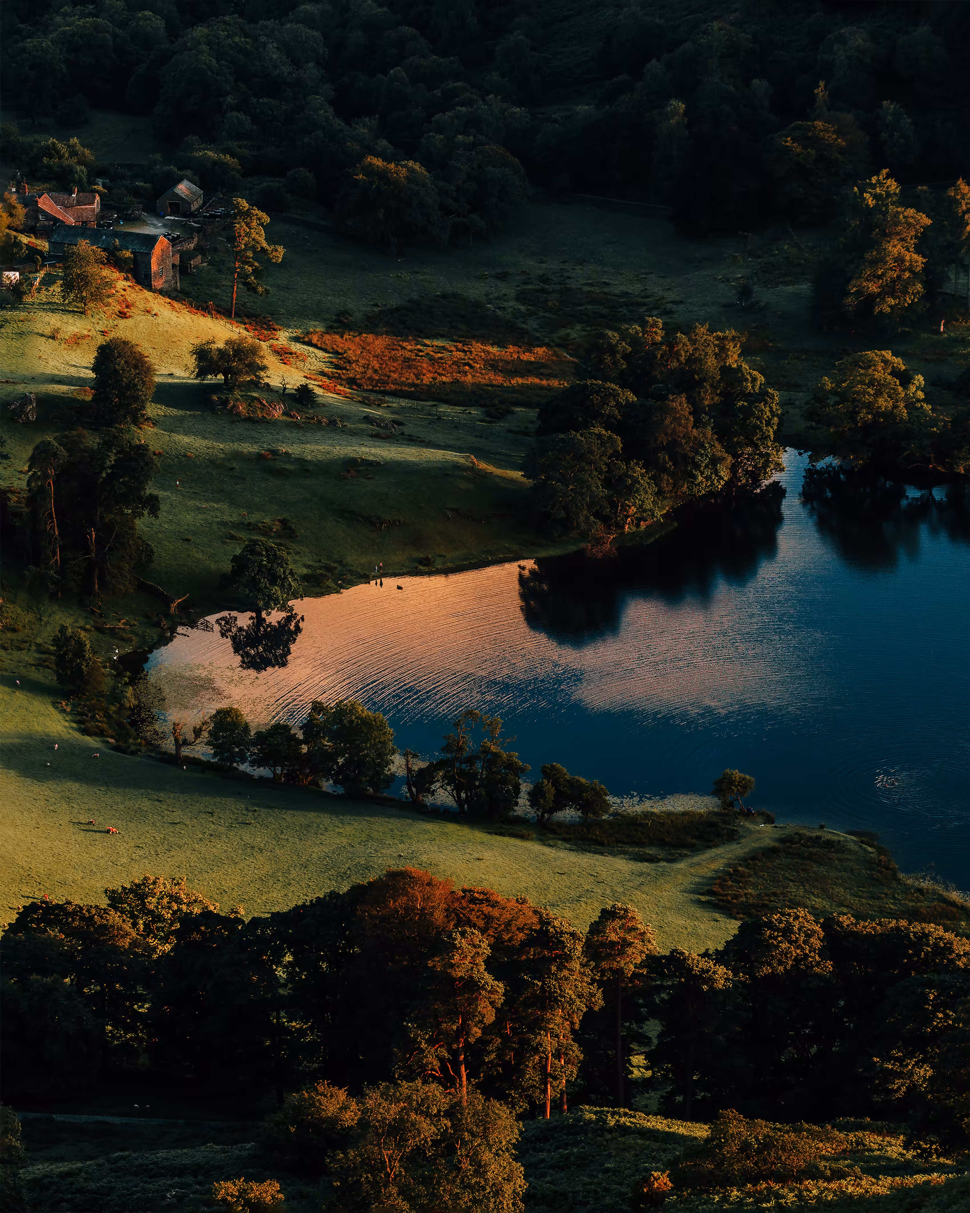 Golden Hour at the Lakes