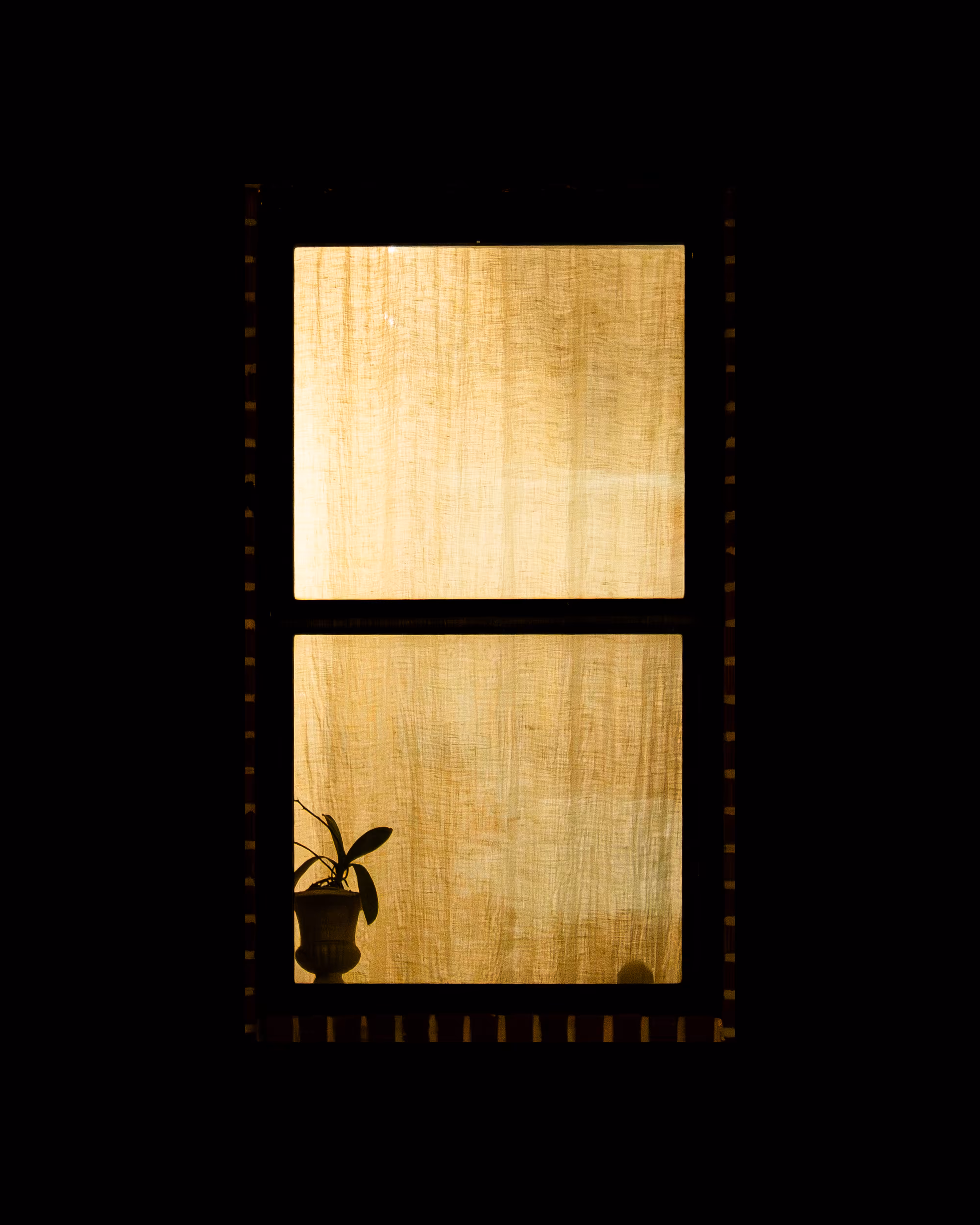 WINDOWS // NYC: WINDOW 568