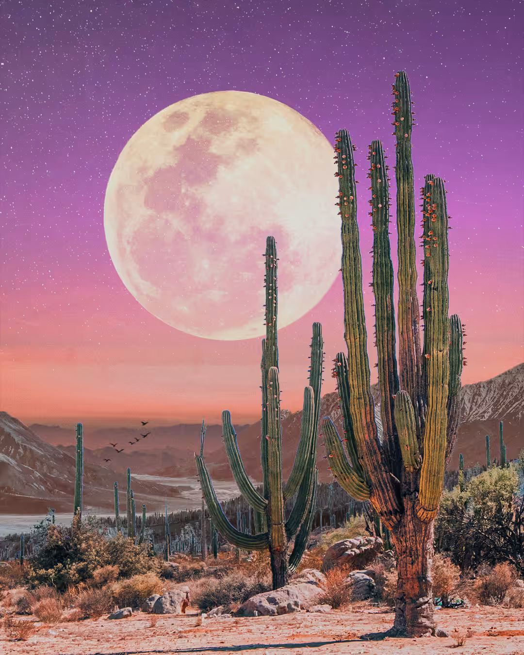 Full Moon