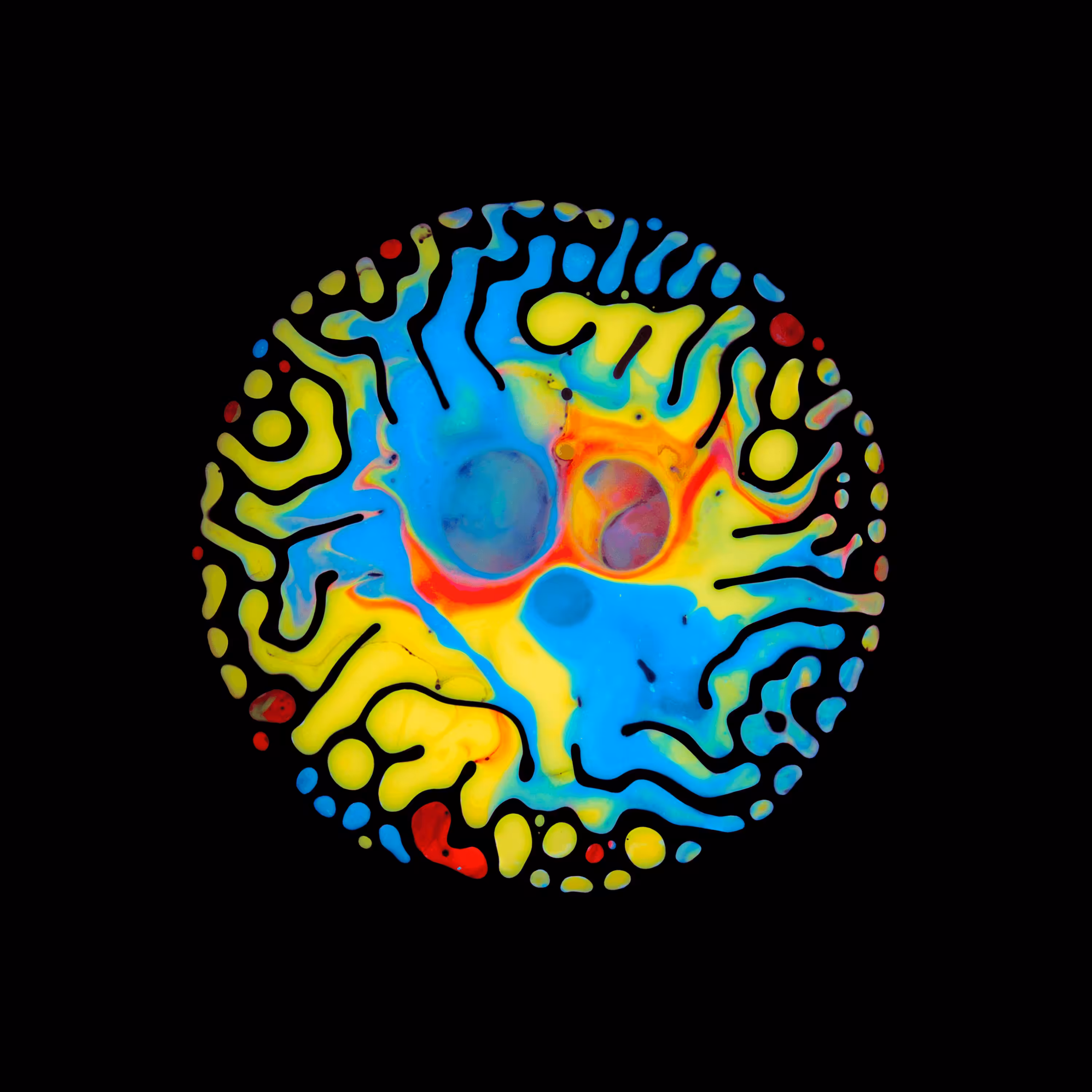 Haematopoiesis #187