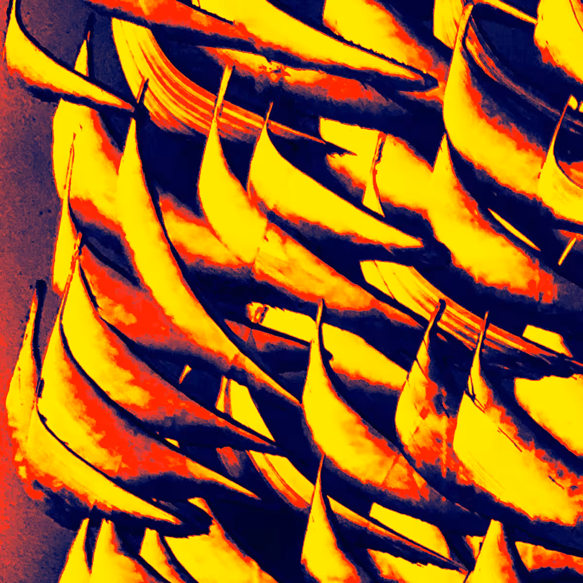 listen to the birds singing 11