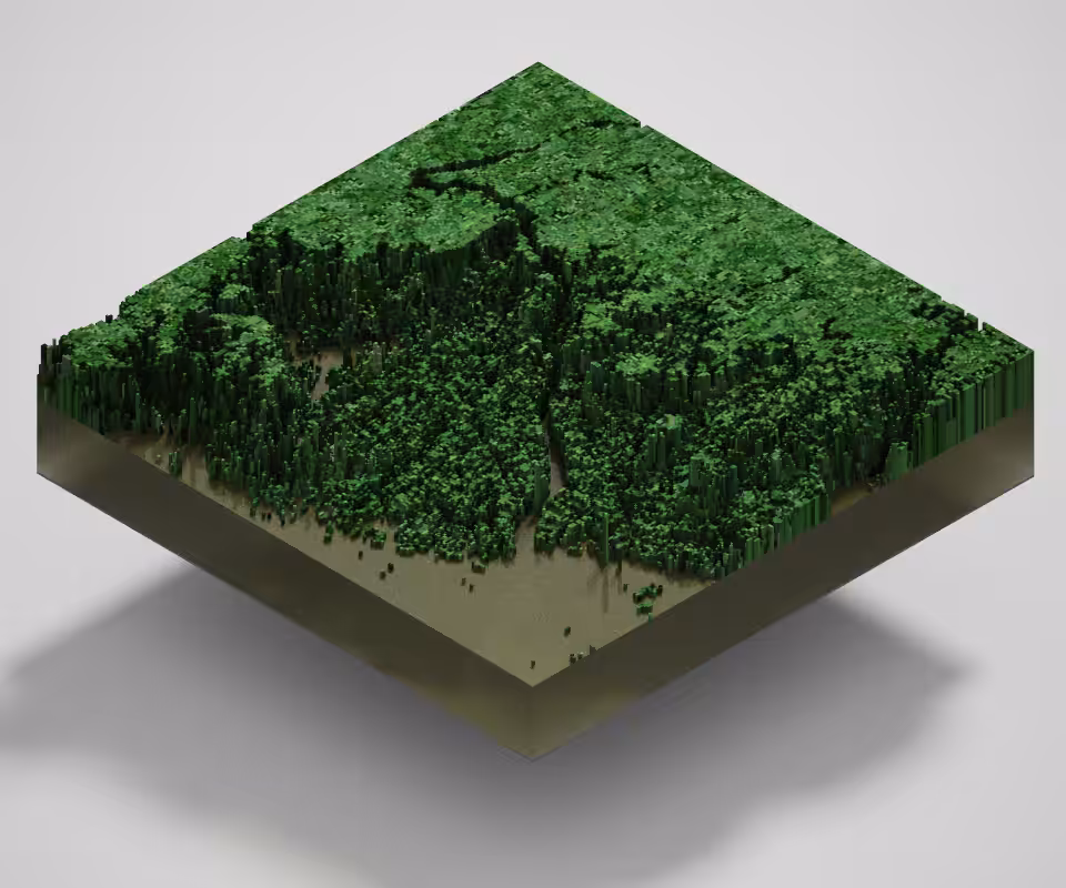 Lot #2 Amazonia