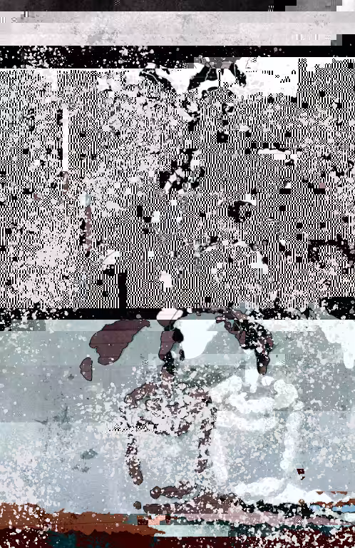 400 ERROR #38