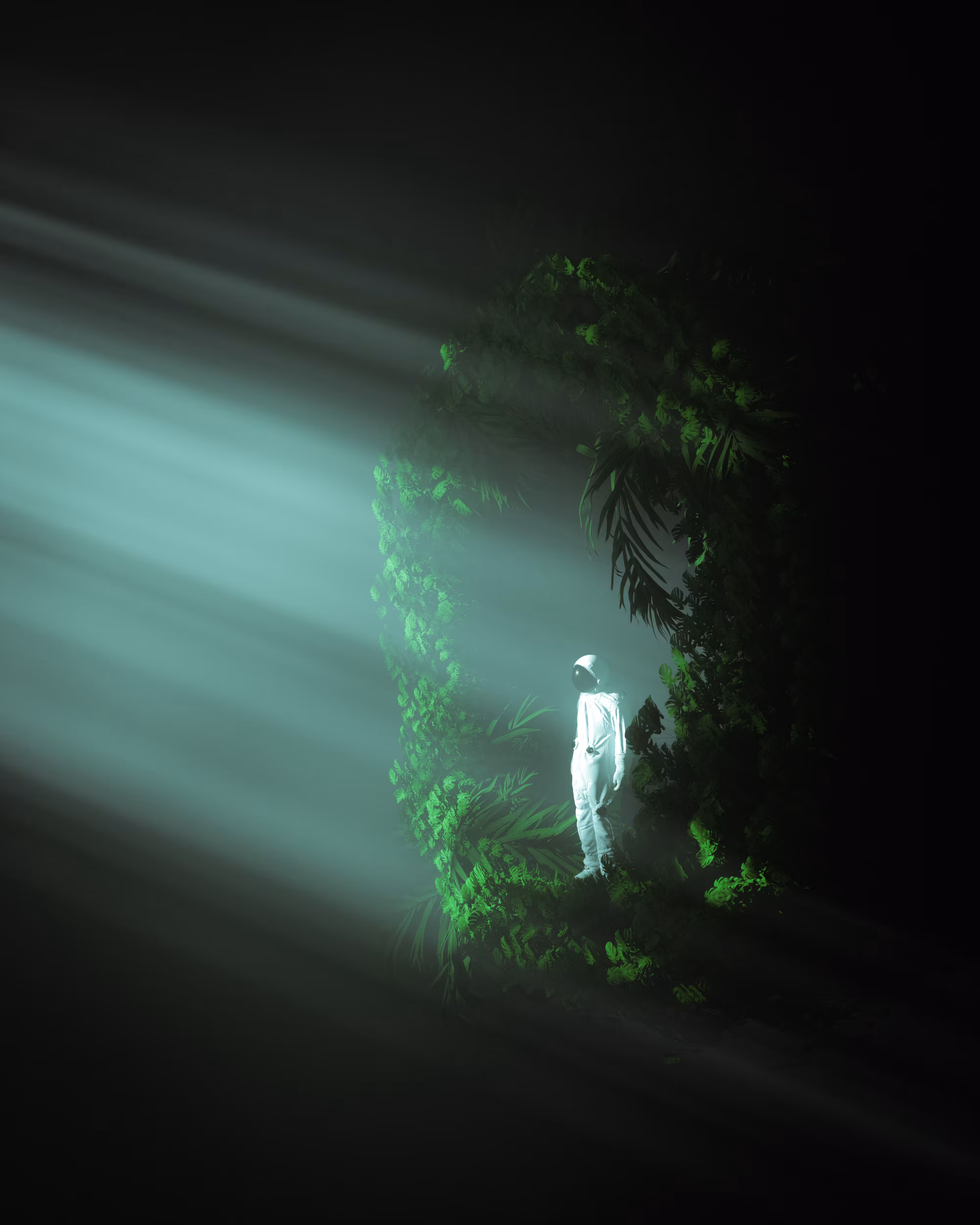 The Way Out