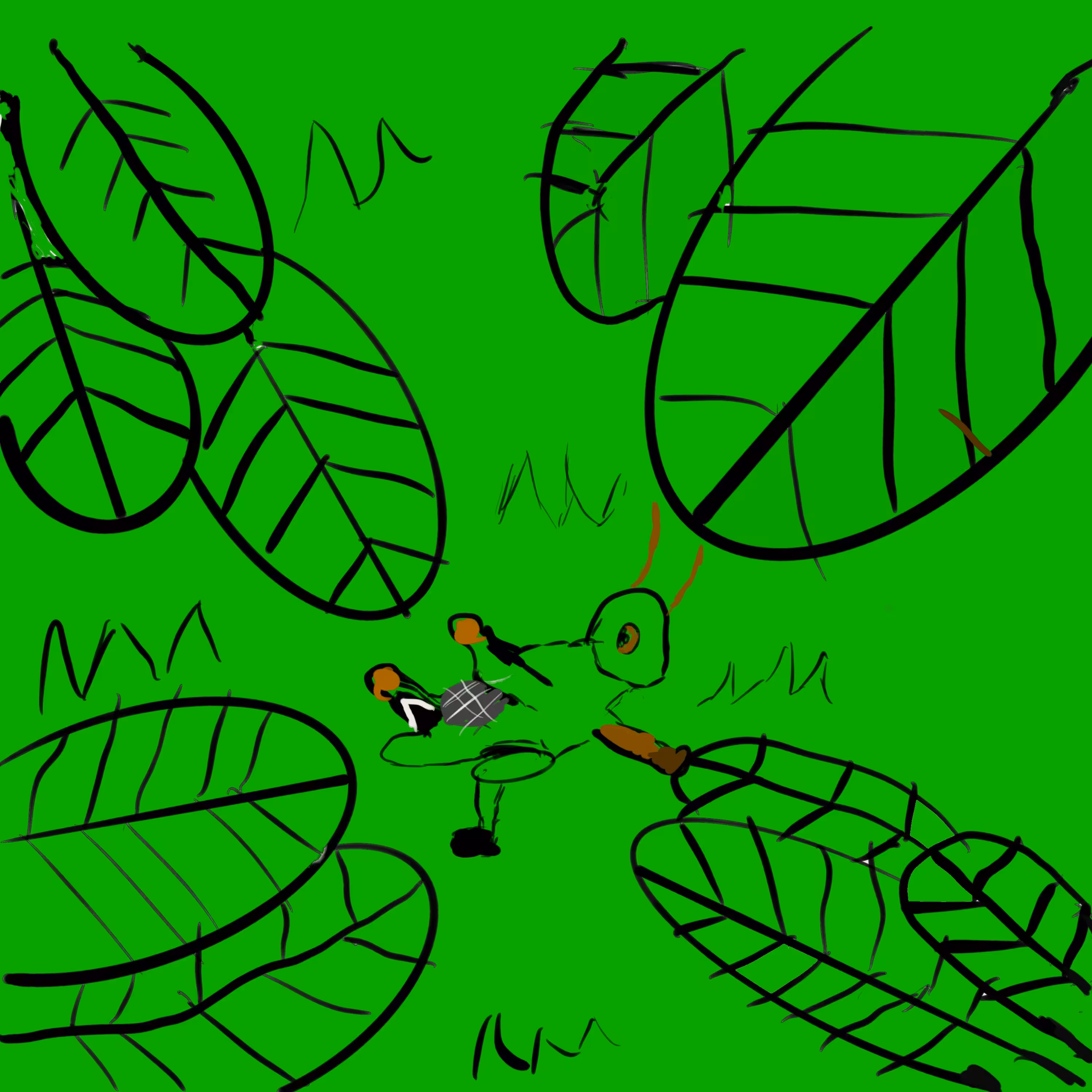 Grasshopper and leaves
