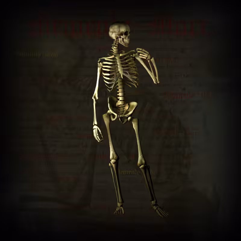 Memento Mori #5