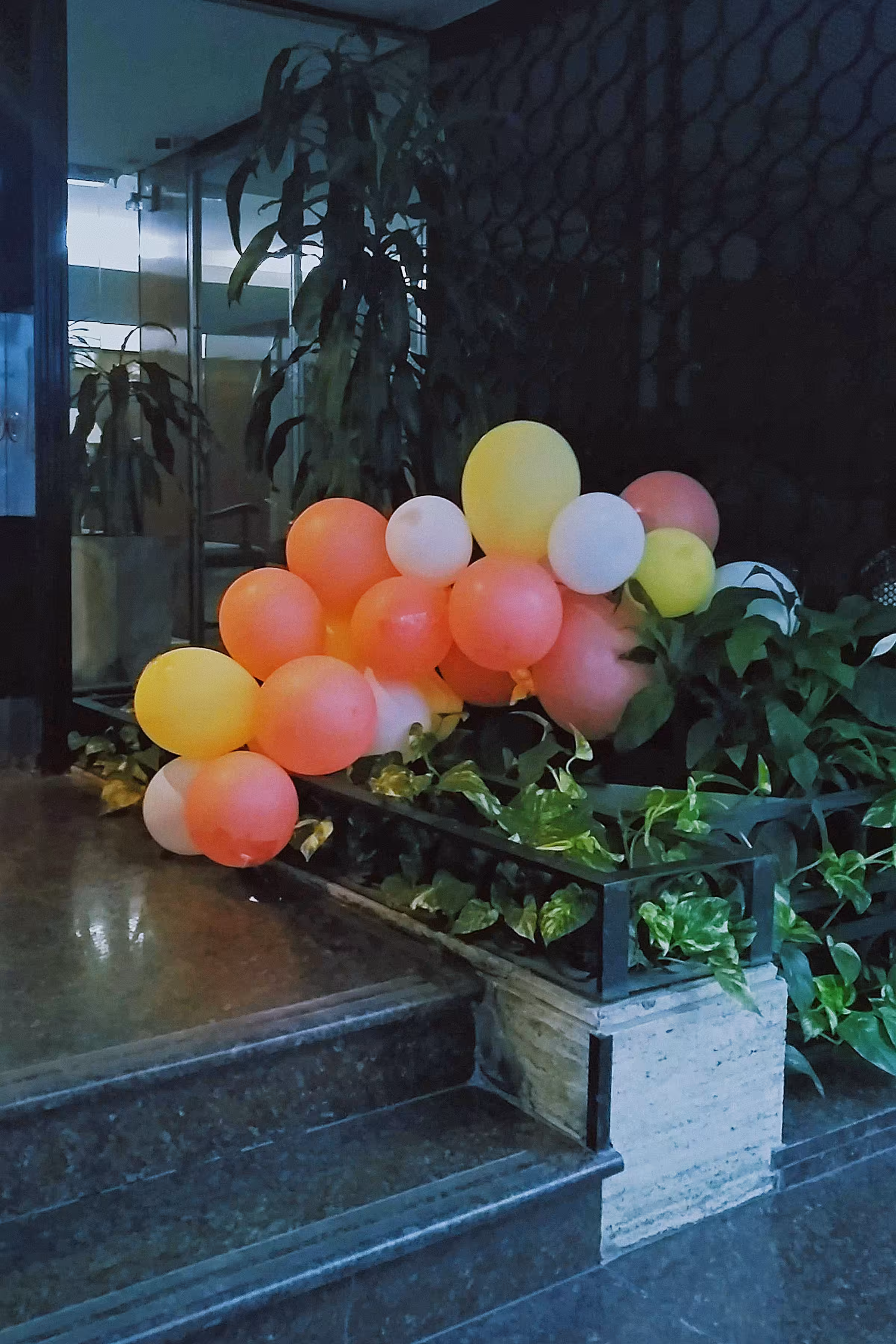 Another kind of flowers