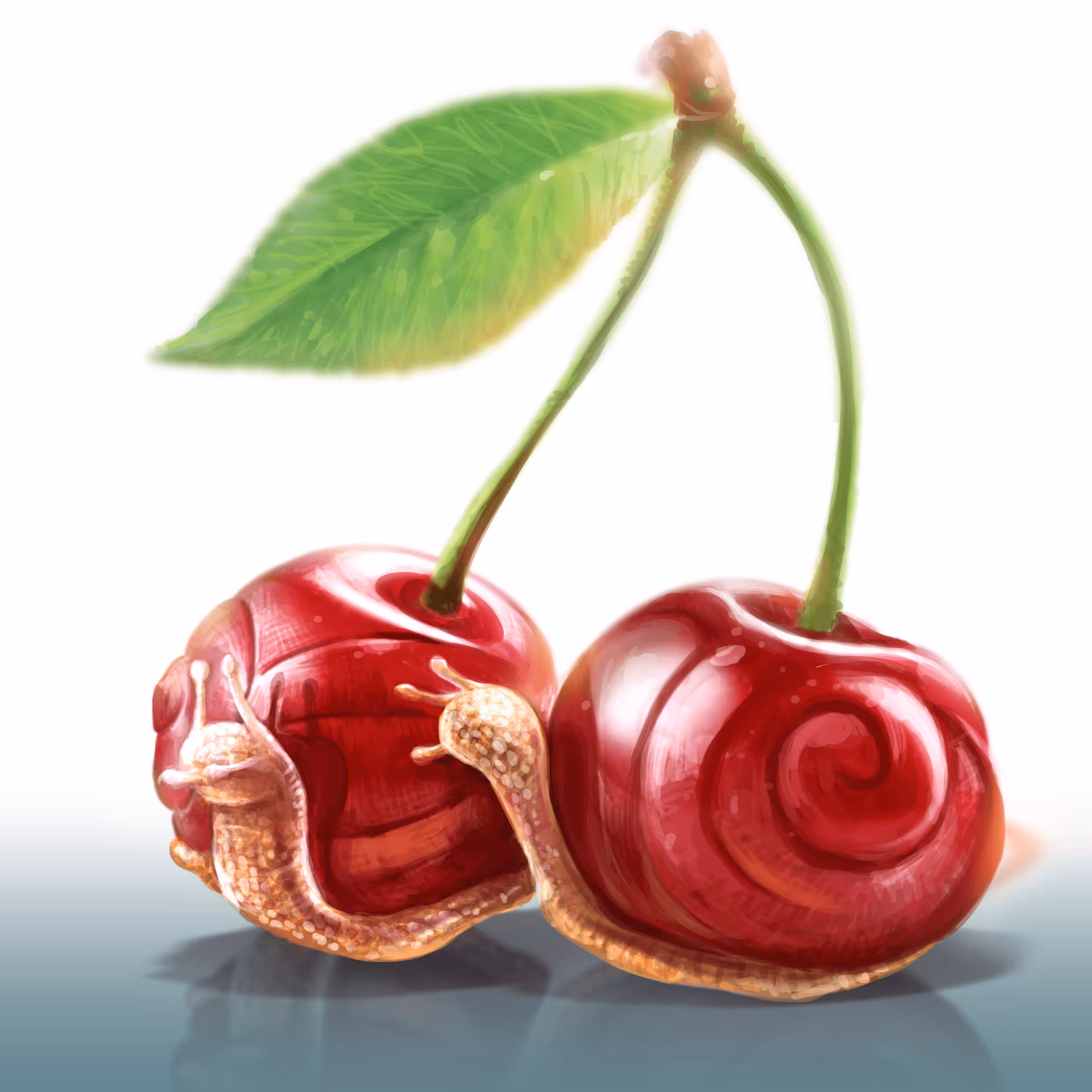 snail cherry    