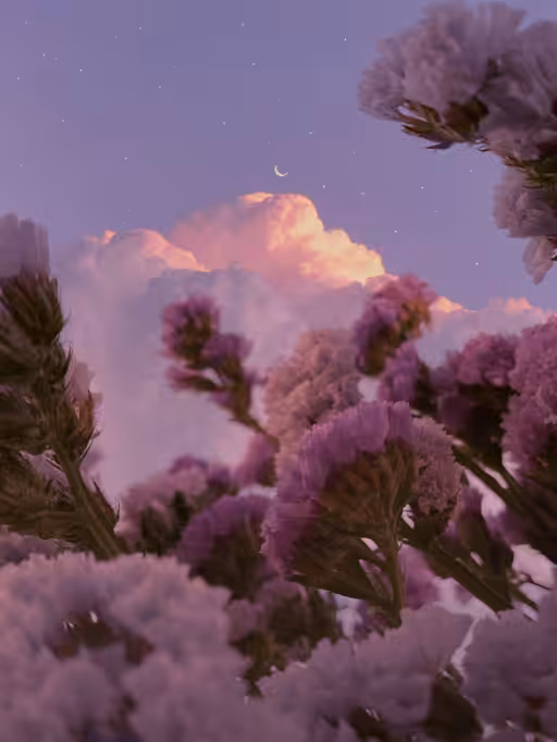 Pink & Purple World #27