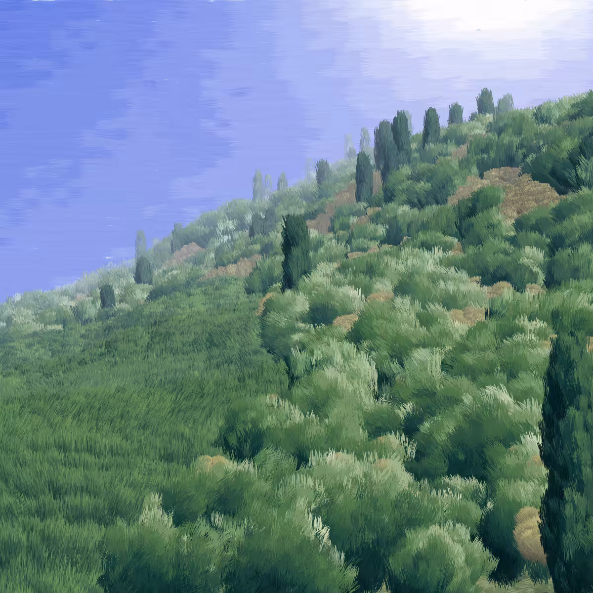 Provence #162