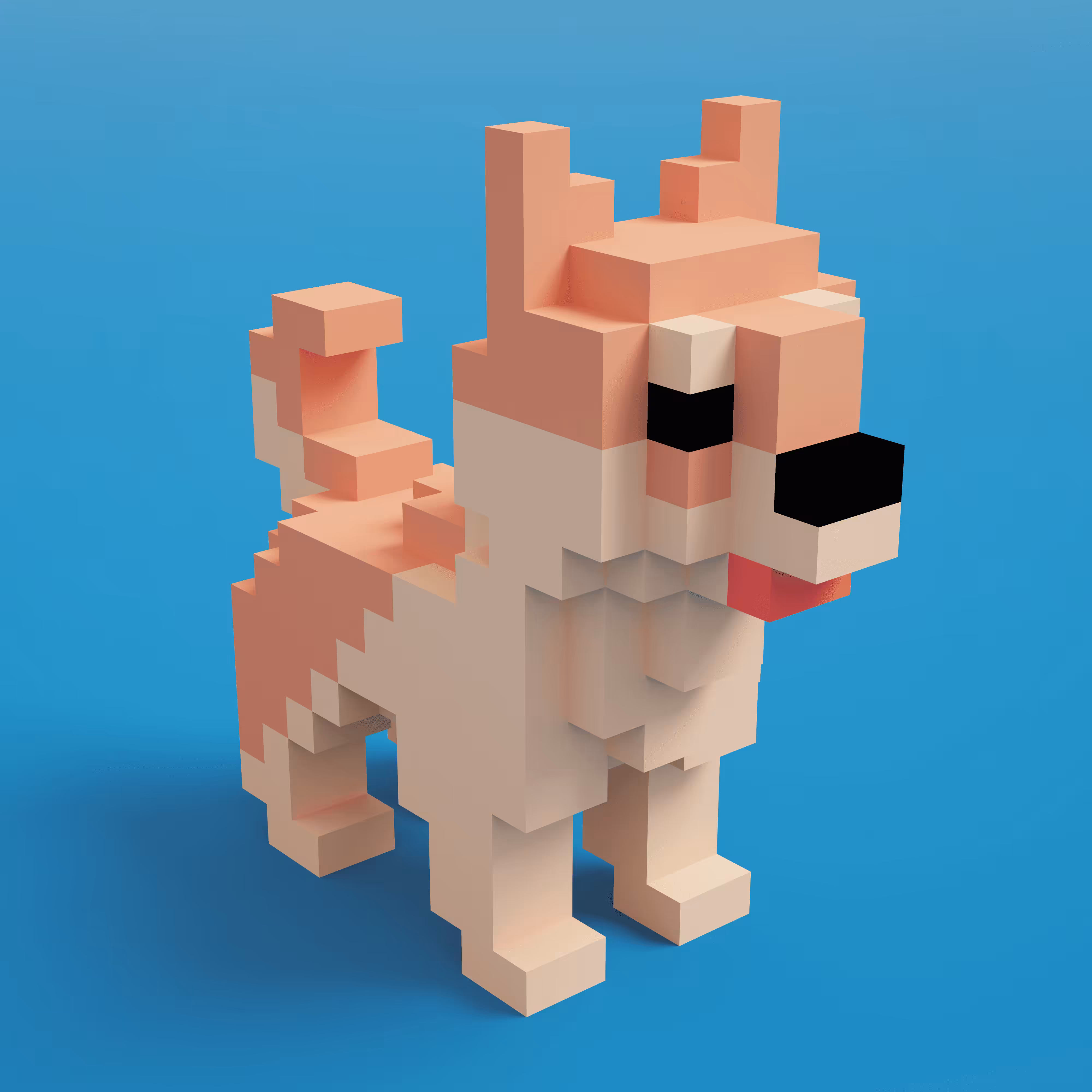 DogeBits #79