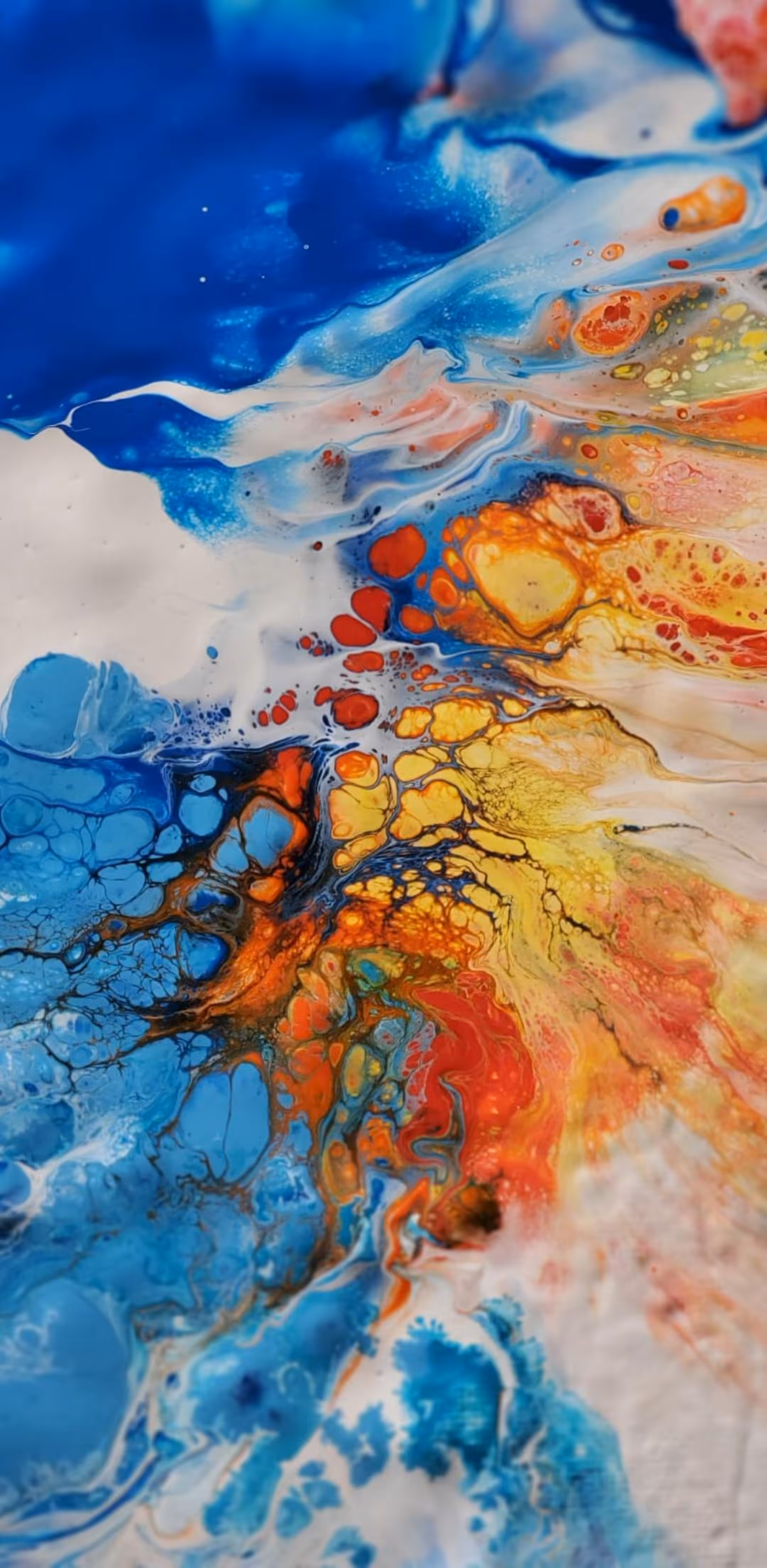 Beauty in Chaos
