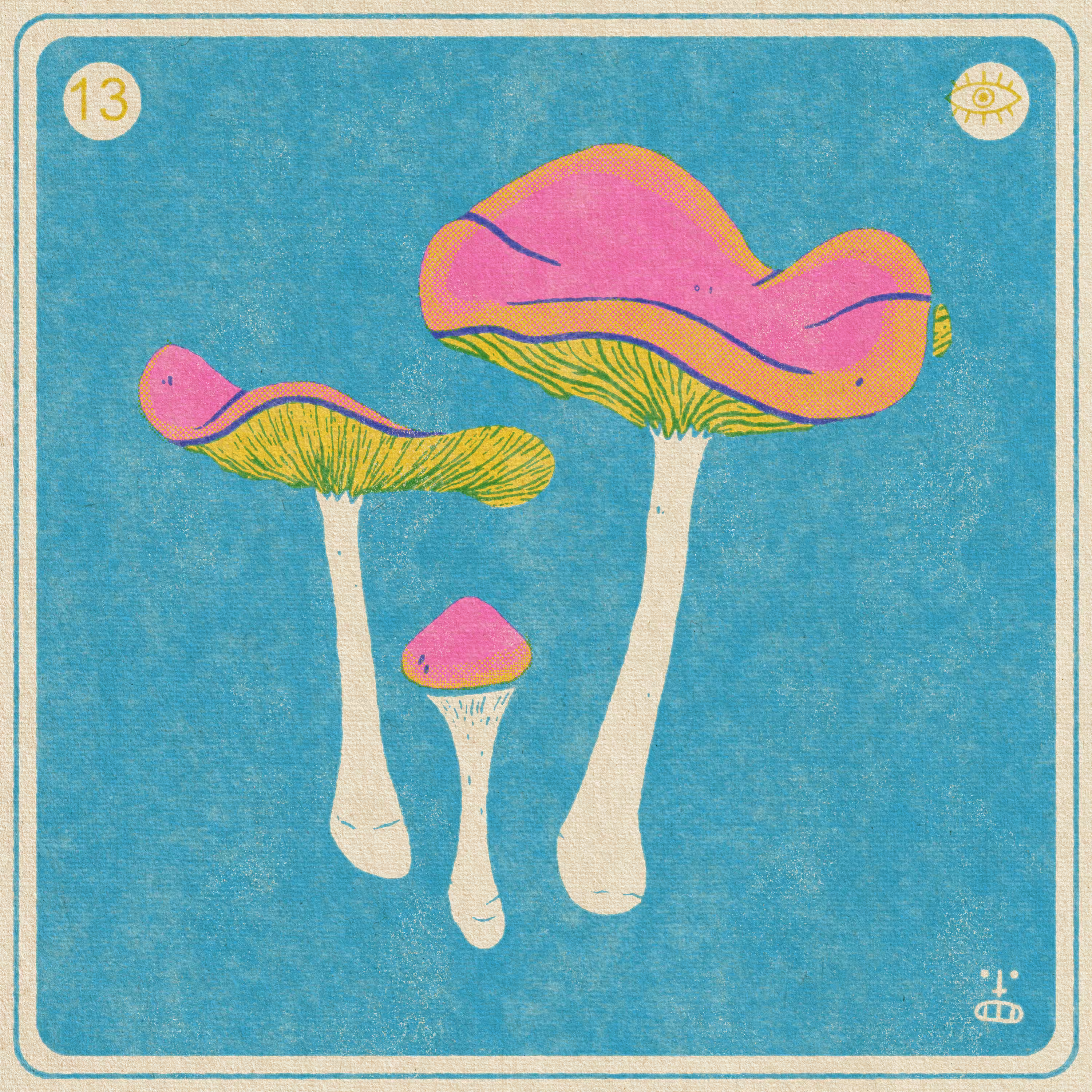13- Psilocybe cyanescens (Wavy Caps)