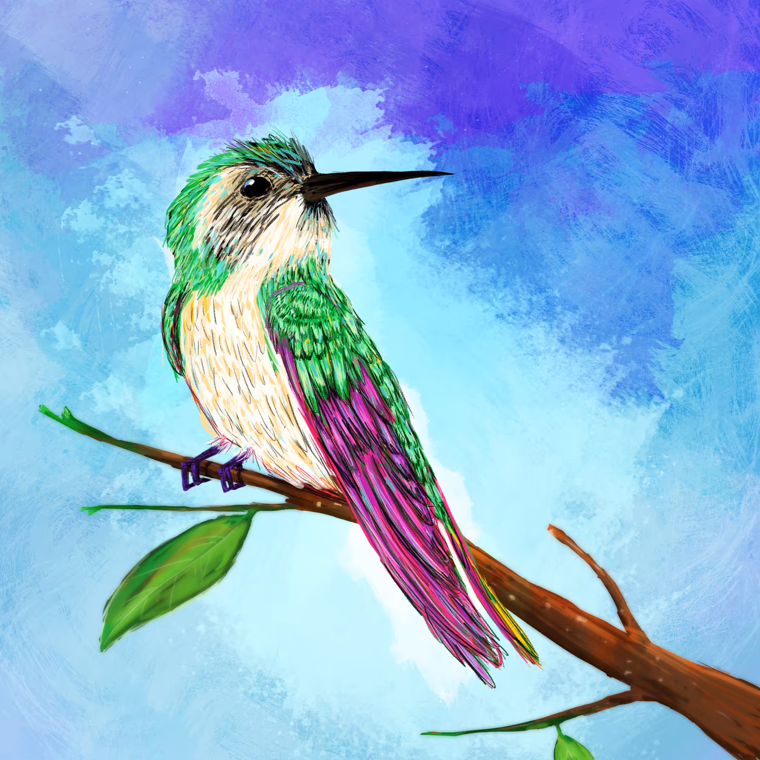 Colibrí Miahuatleco