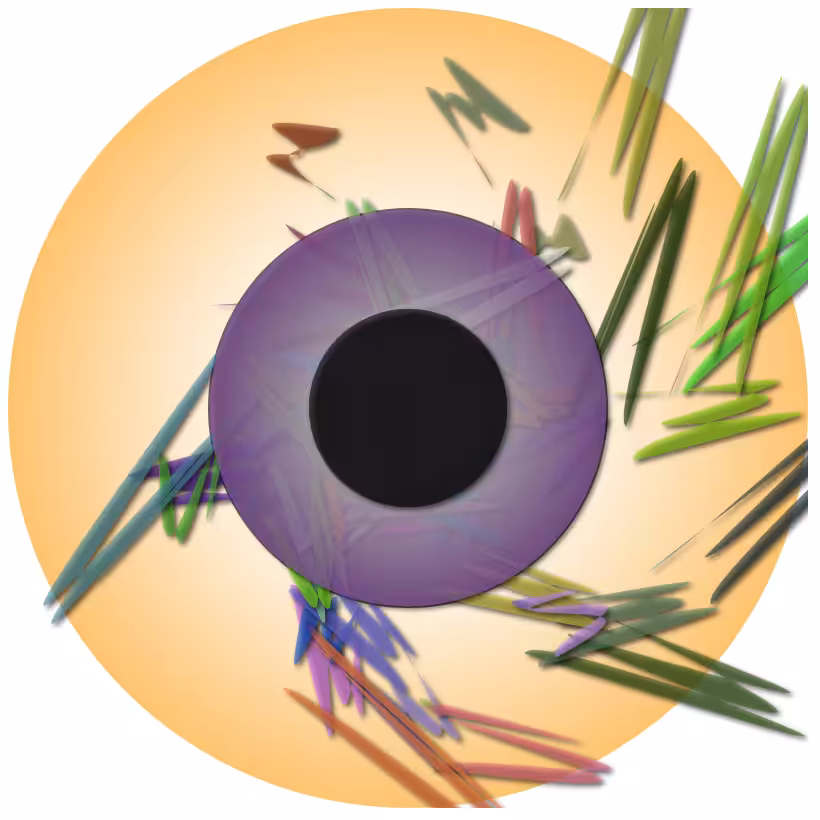 Iris 2 #34