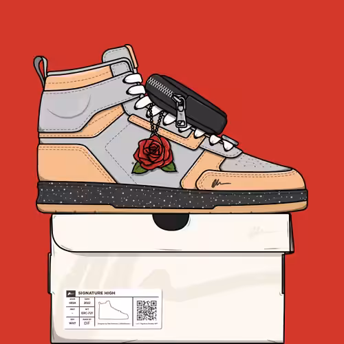Signature Sneakers Highs #433
