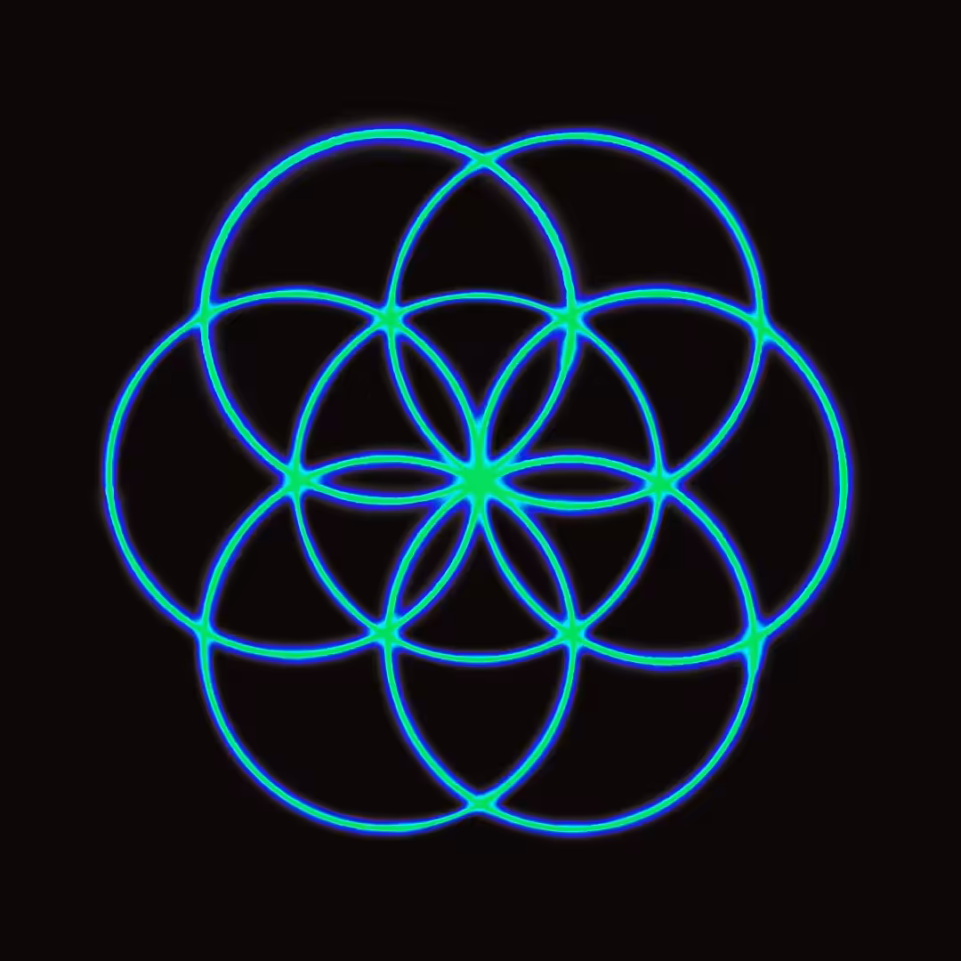 Spinning Bloom