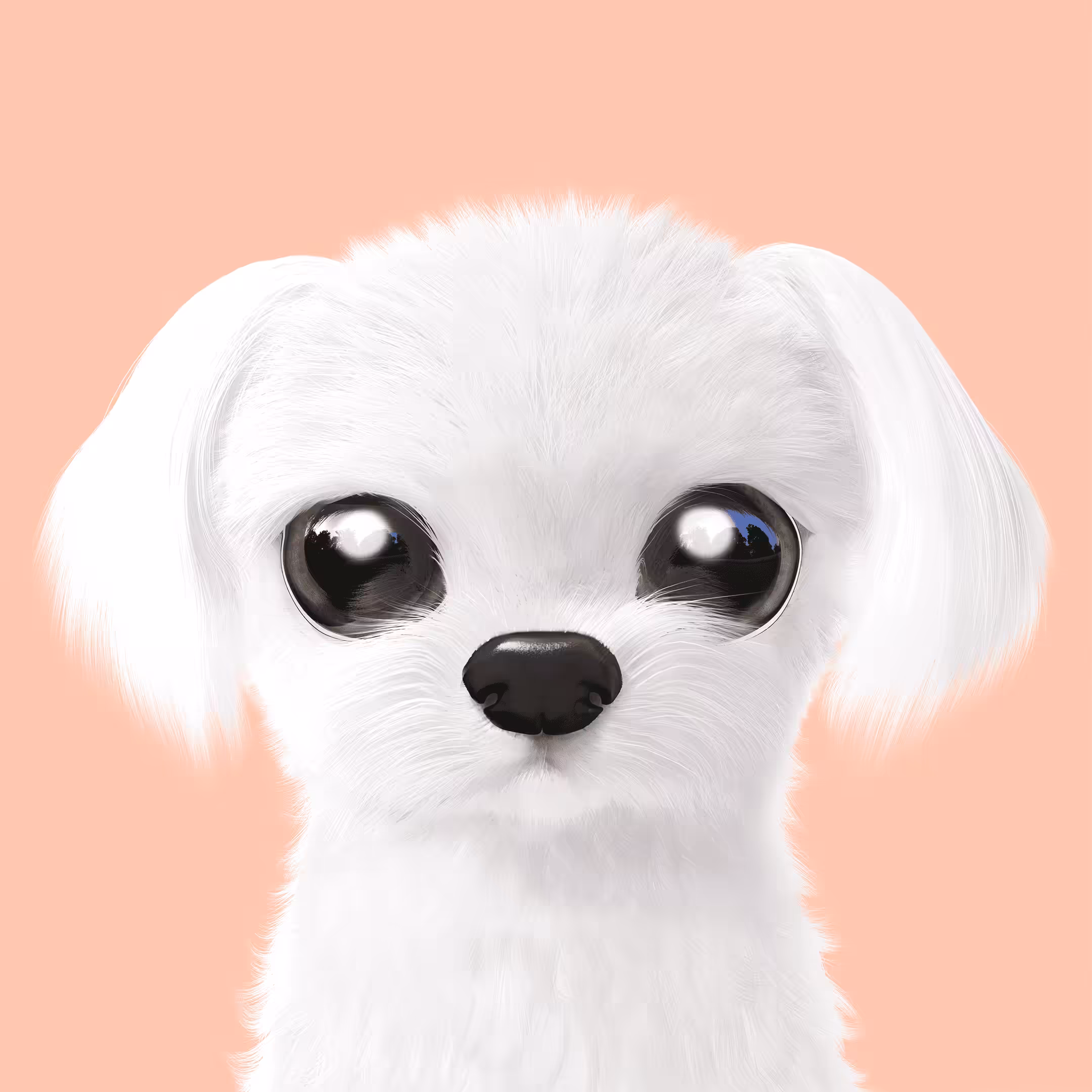 #163 Kkoong the Maltese