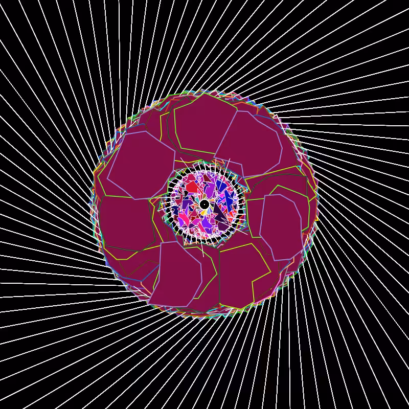 Transcendental Roses #6