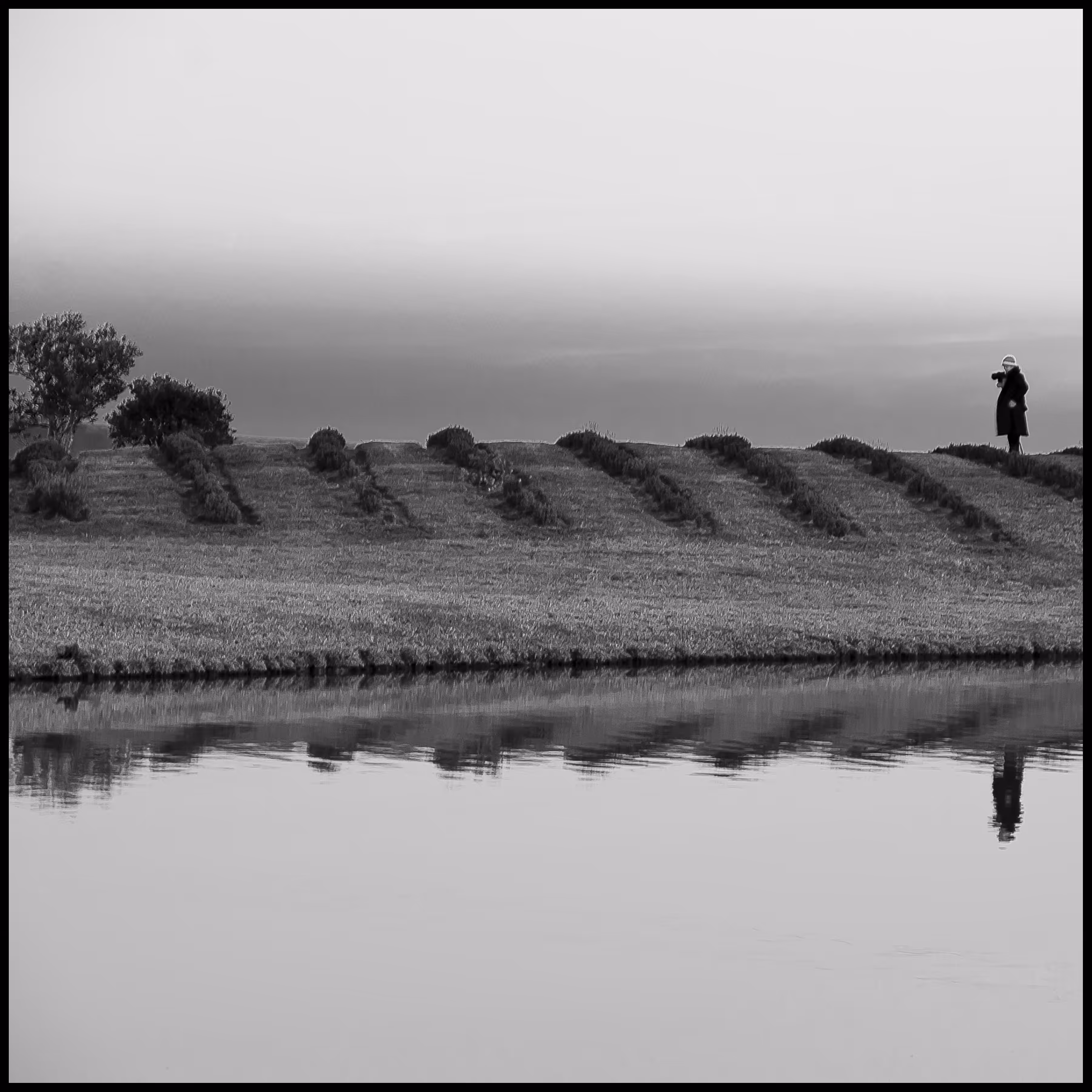 Solitude or Solidão