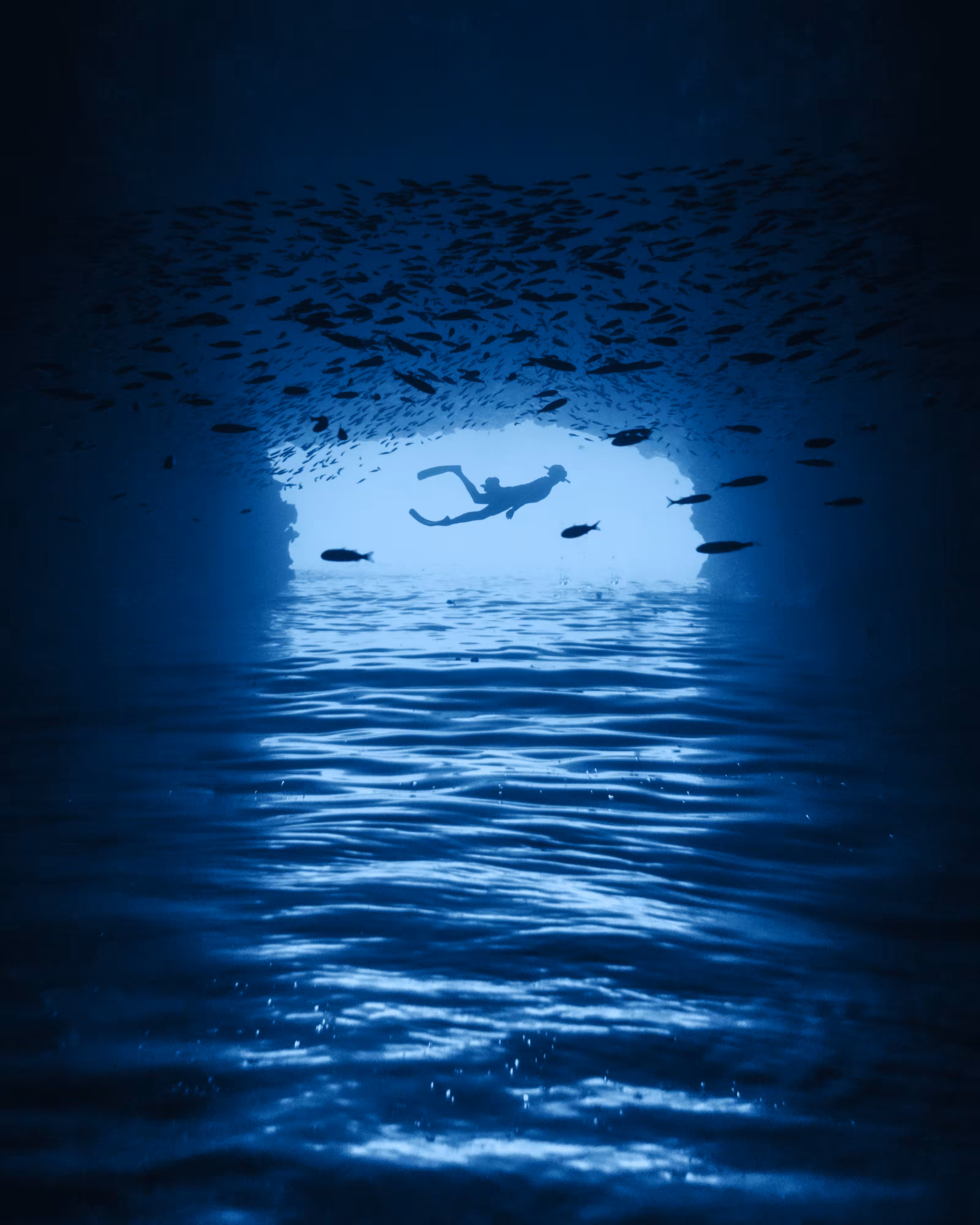 Into the Blue 