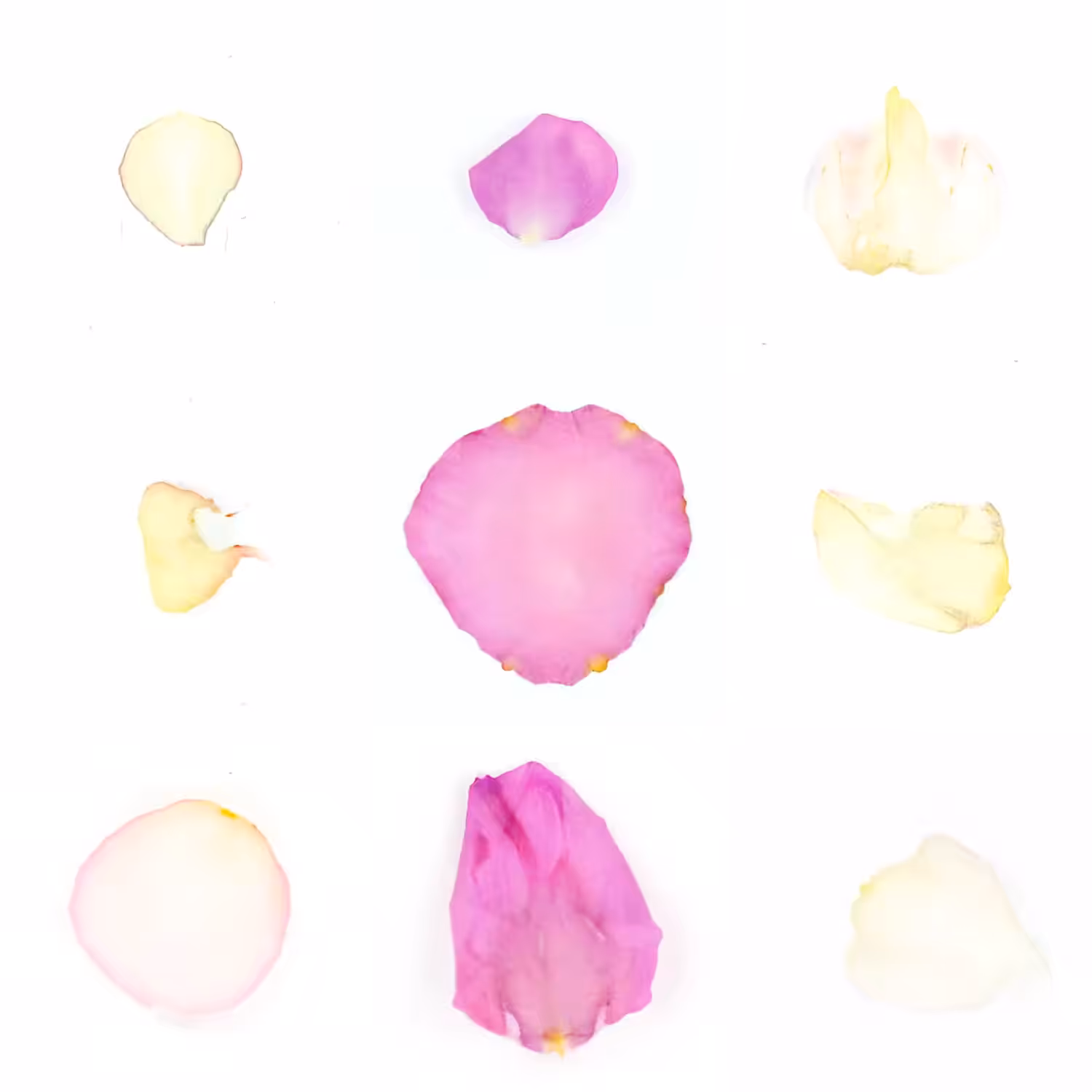 Infinite Petals 3x3#840