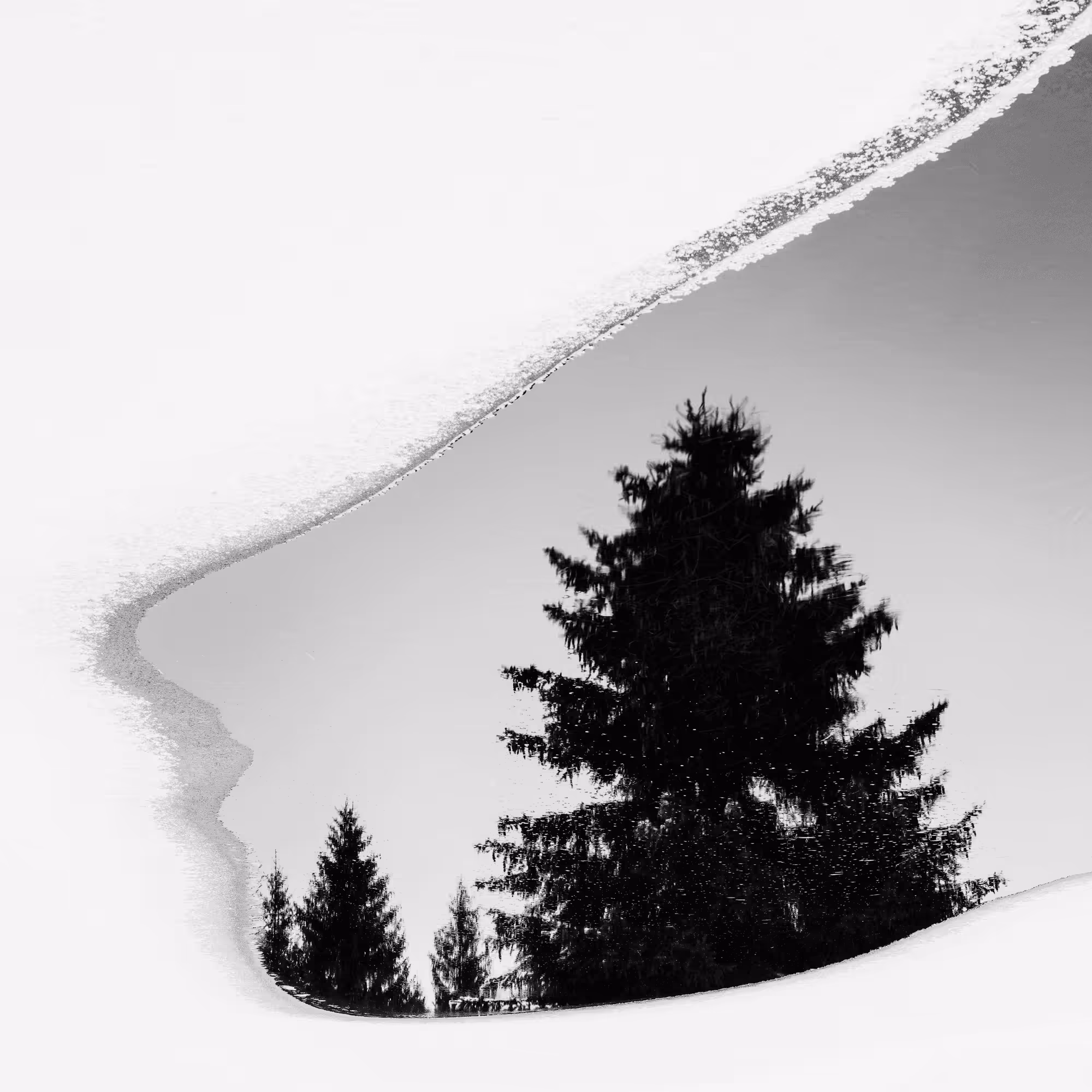 Sound of Silence #25
