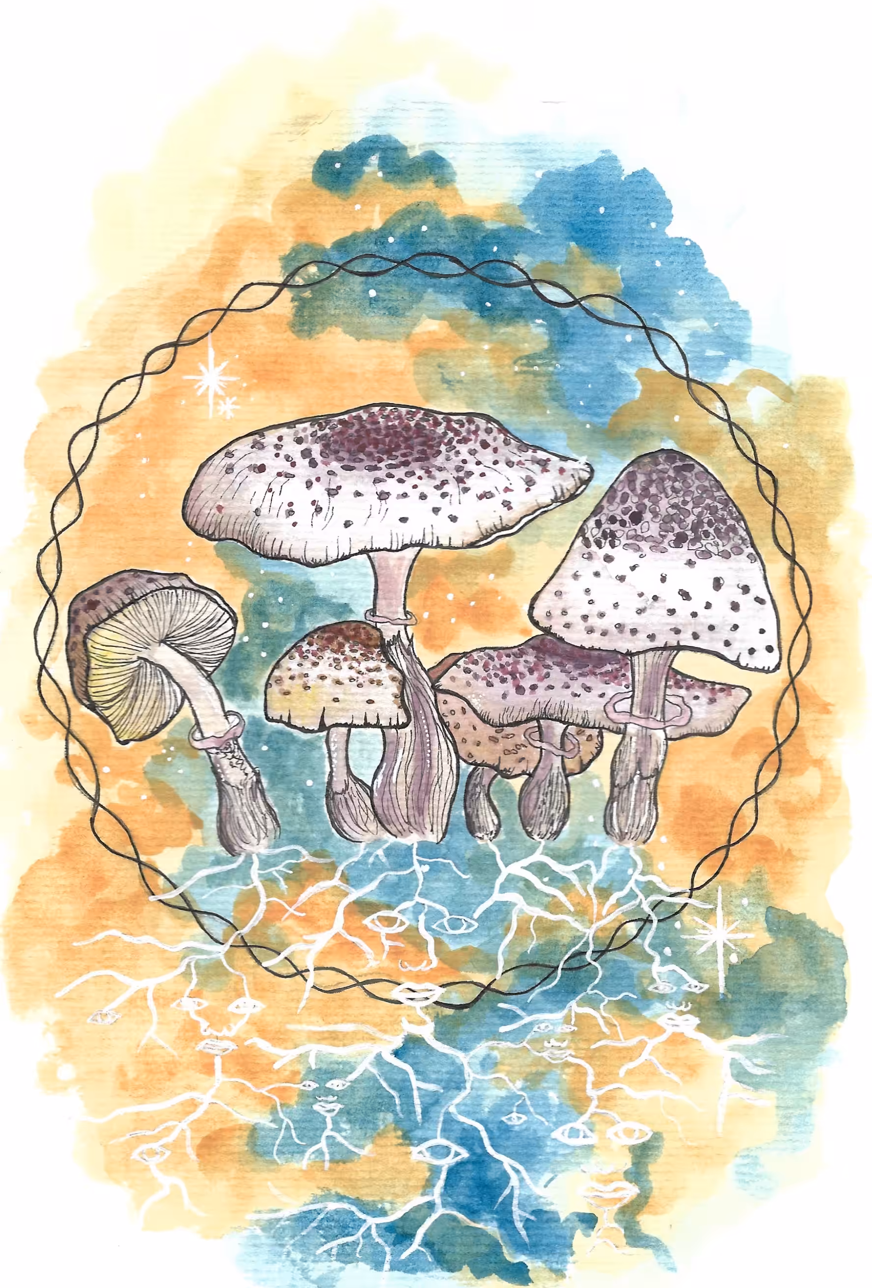 Lepiota Americana