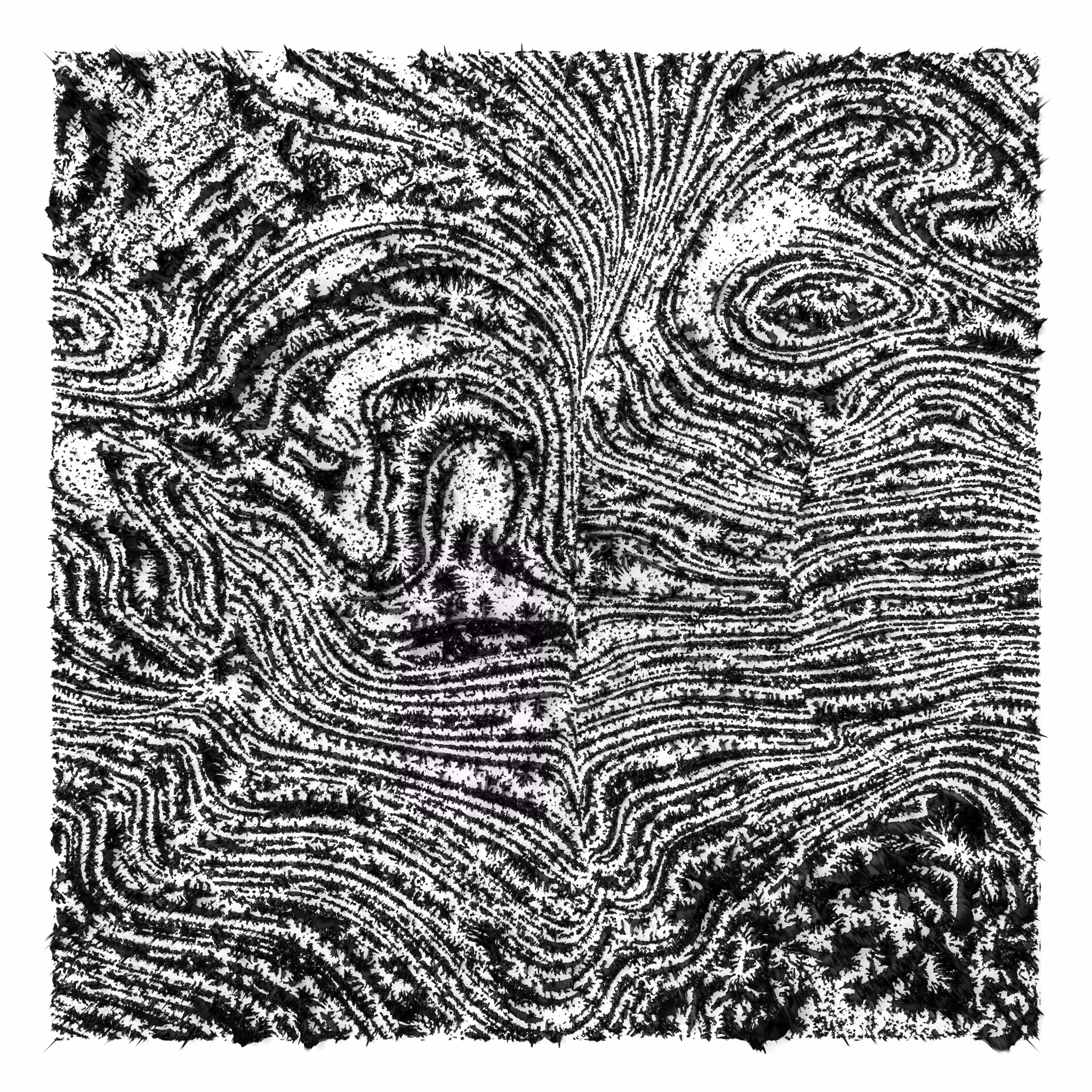Algoscapes [Monochrome]: BW Algoscapes 02