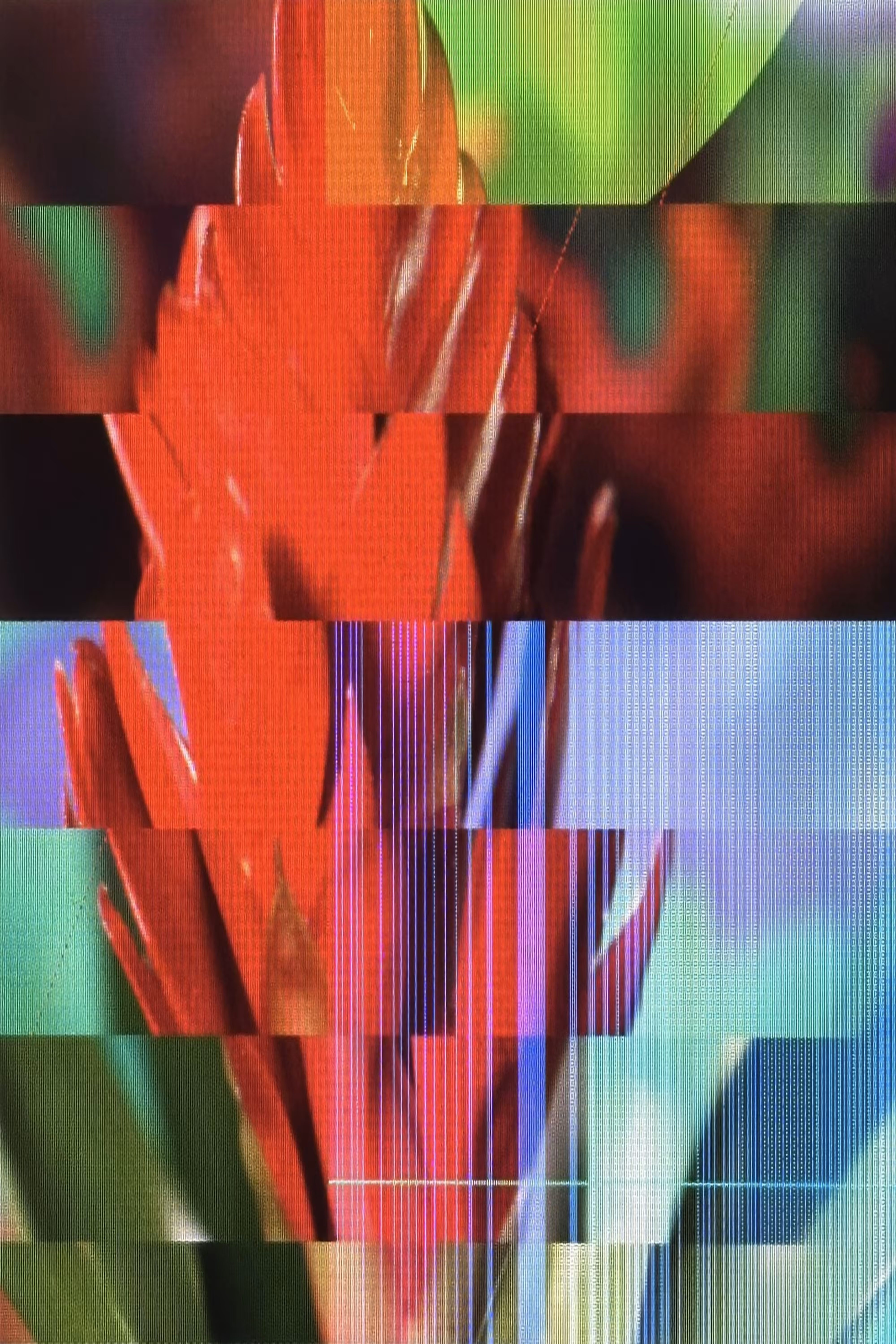 LOWREZ110