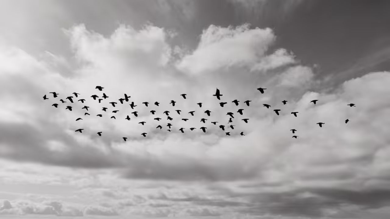 The Happy Valley: flying in silence