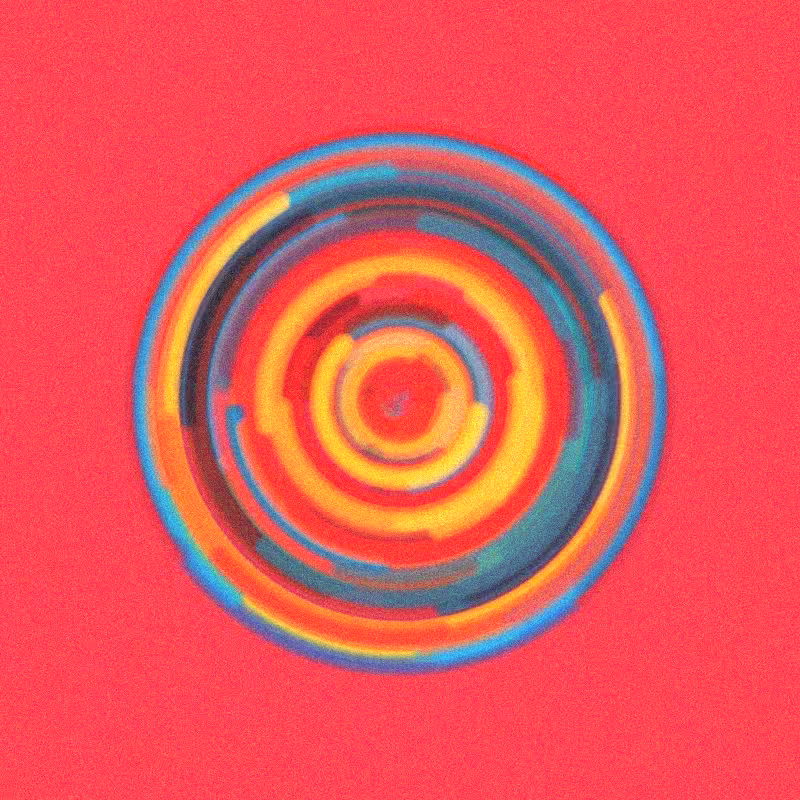 Wisp #19