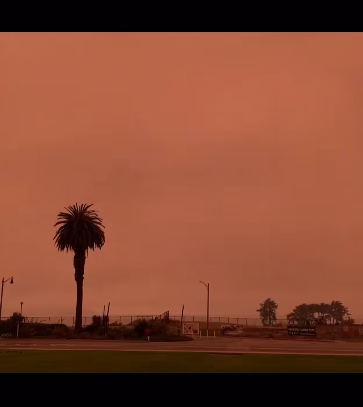 Black Apples- Red Sky