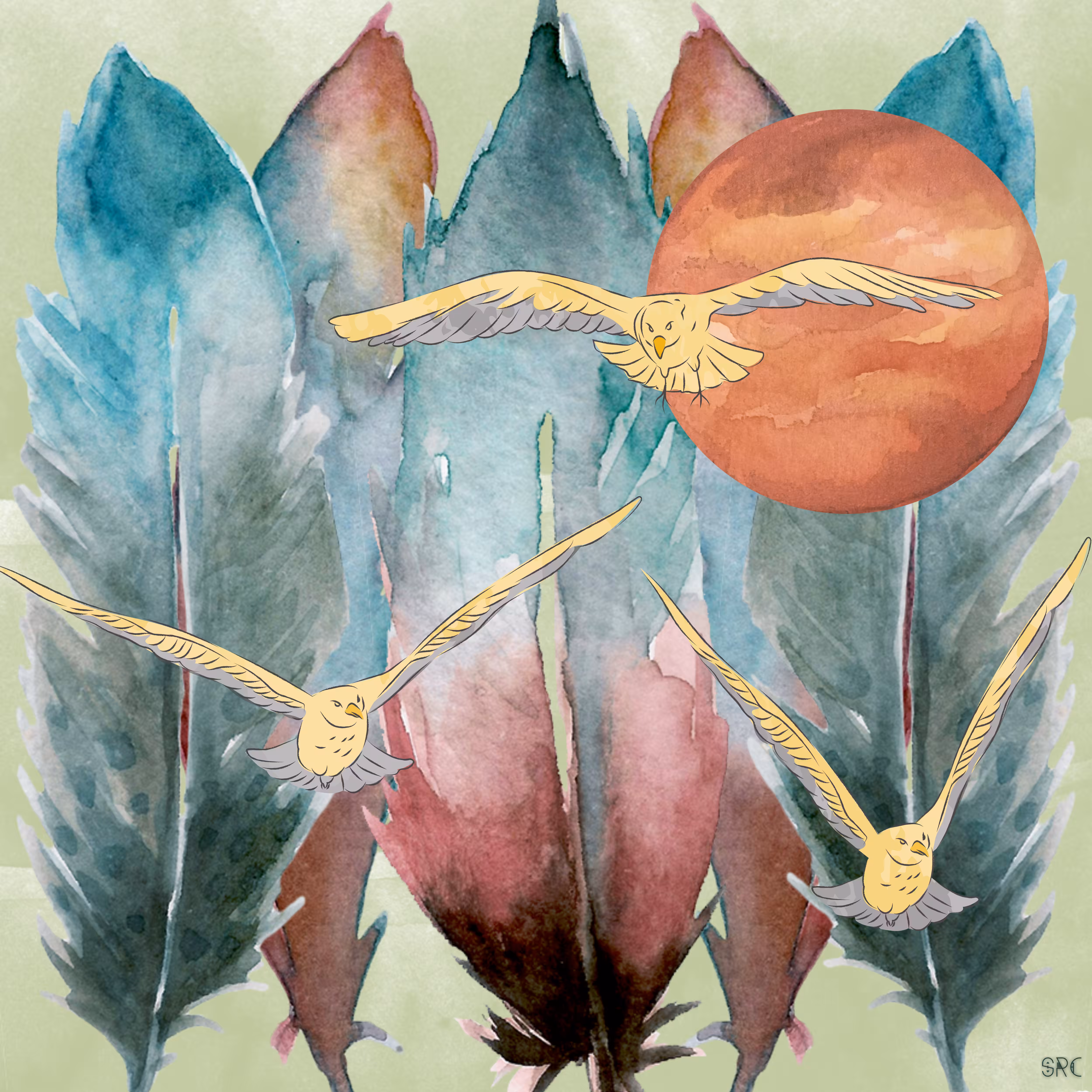 Wings of a Feather