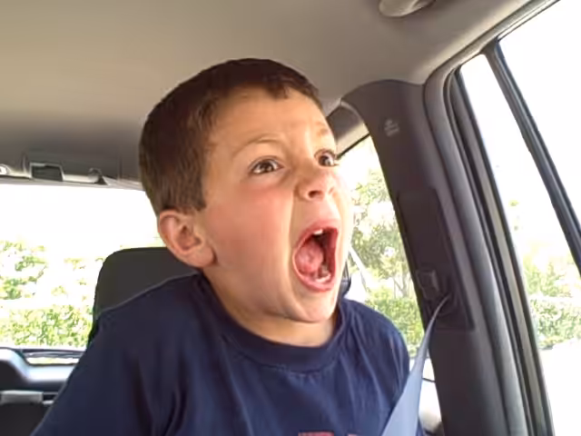 David After Dentist-The Scream