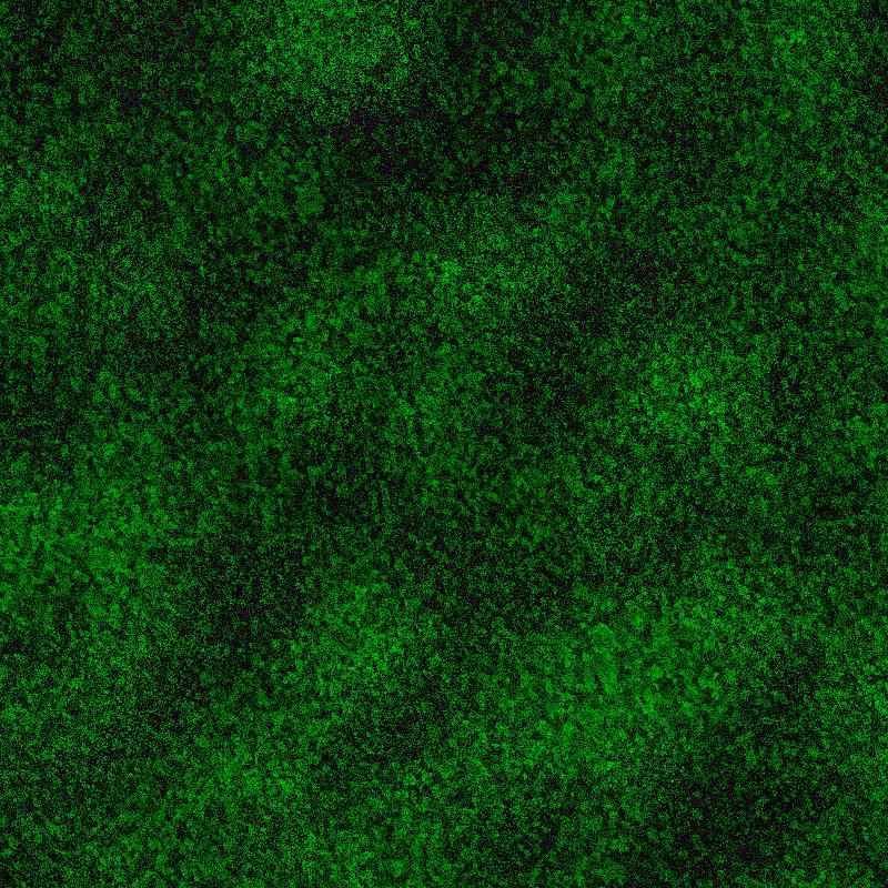 GREEN #11