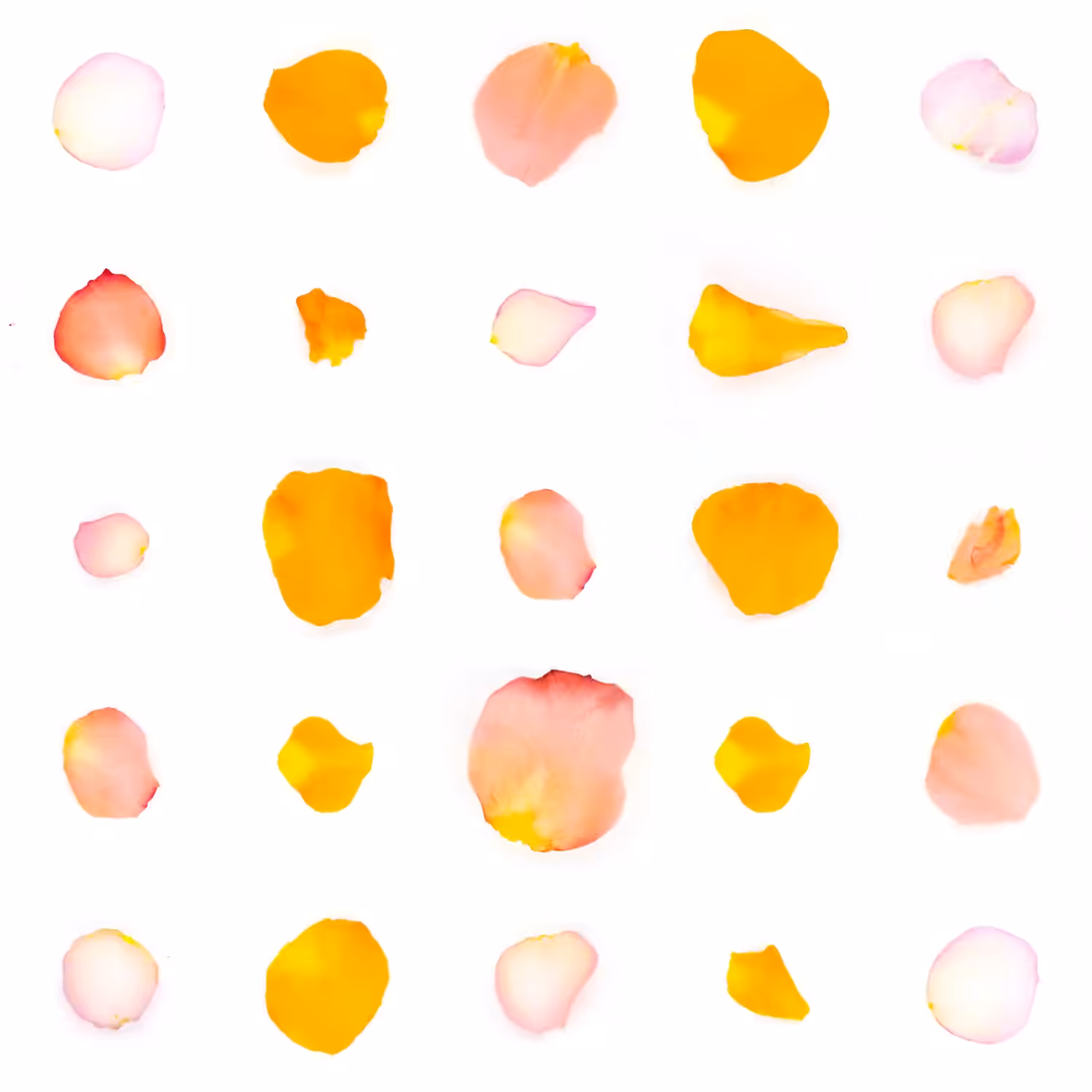 Infinite Petals 5x5#856