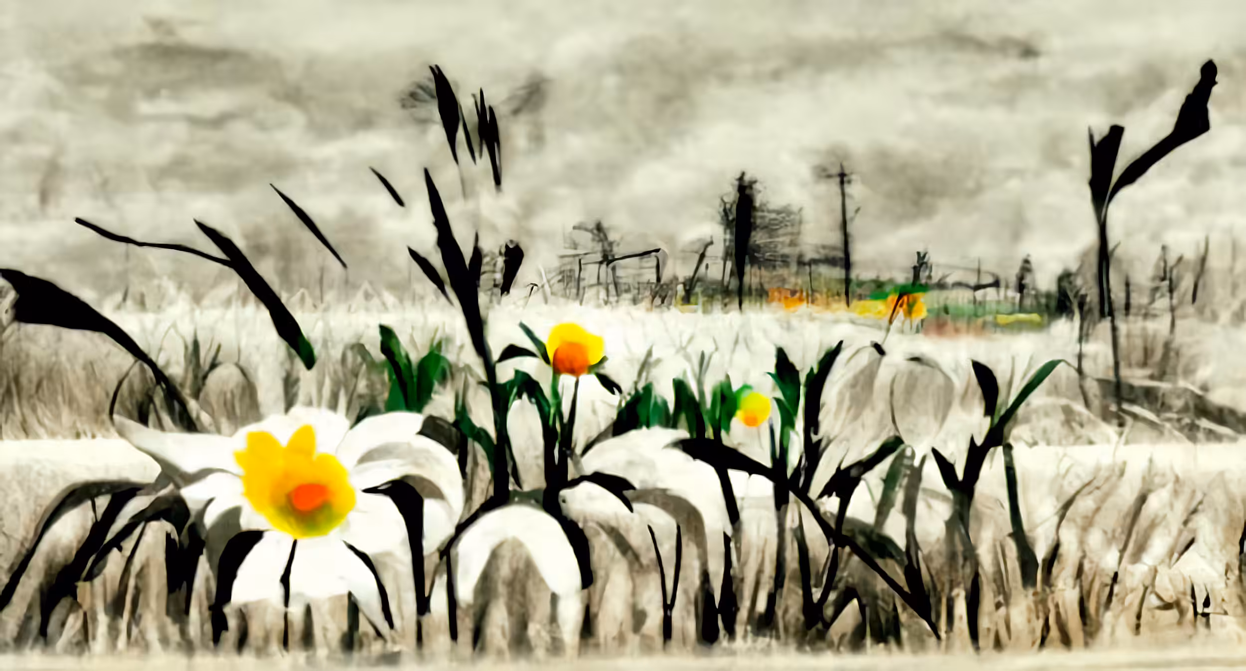 Angry Spring 