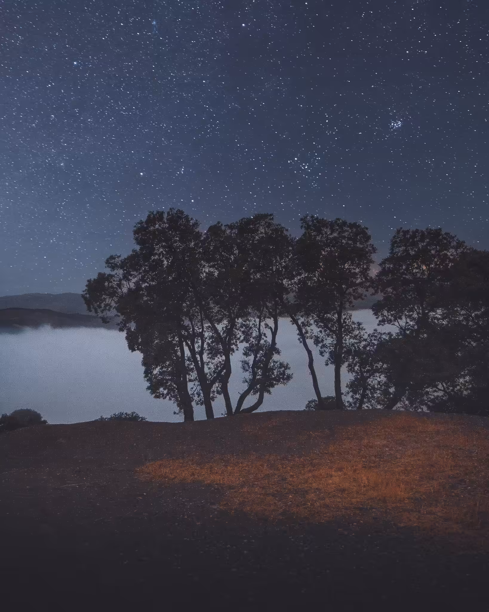 Beautiful nature: looking at the stars