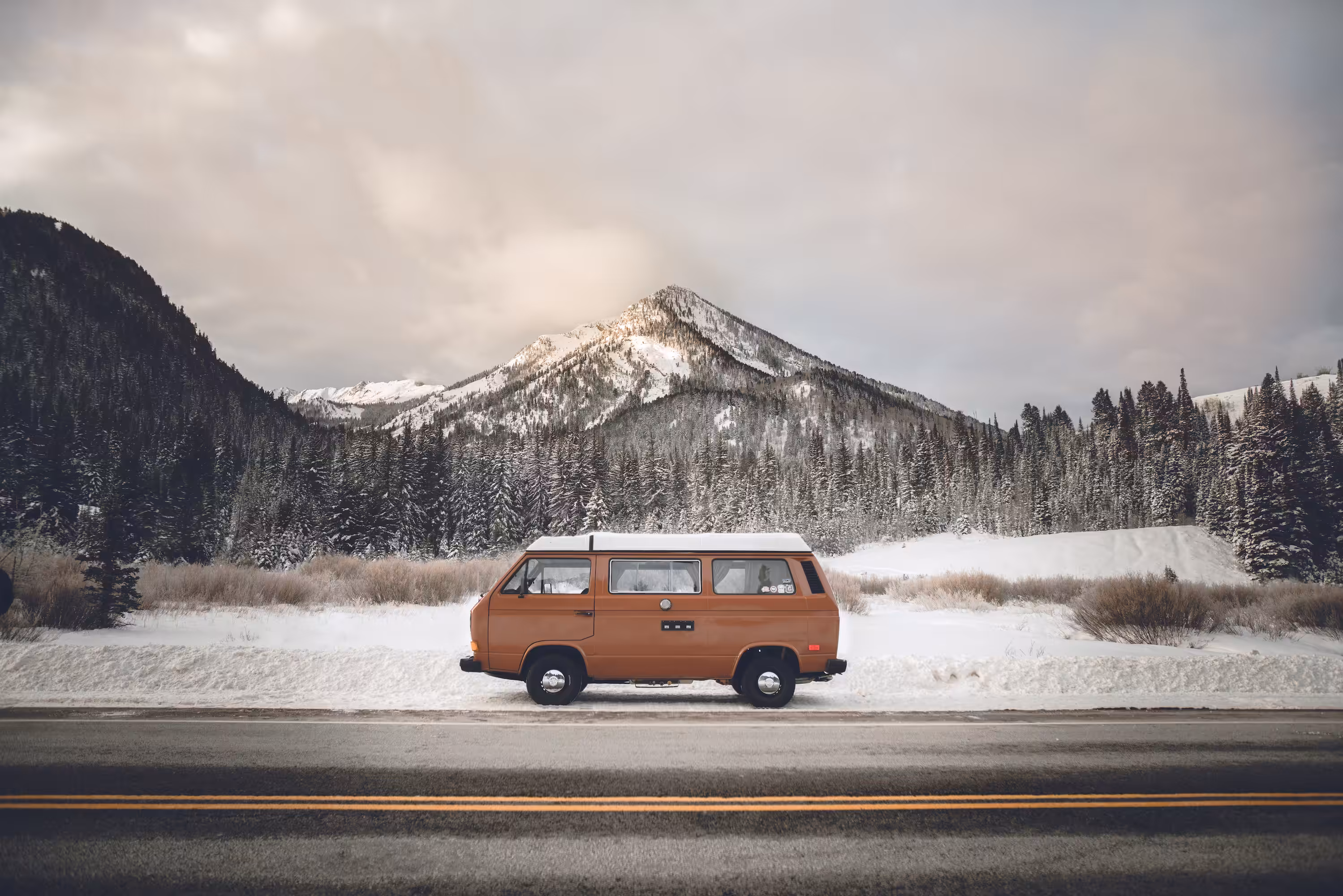 Nomad