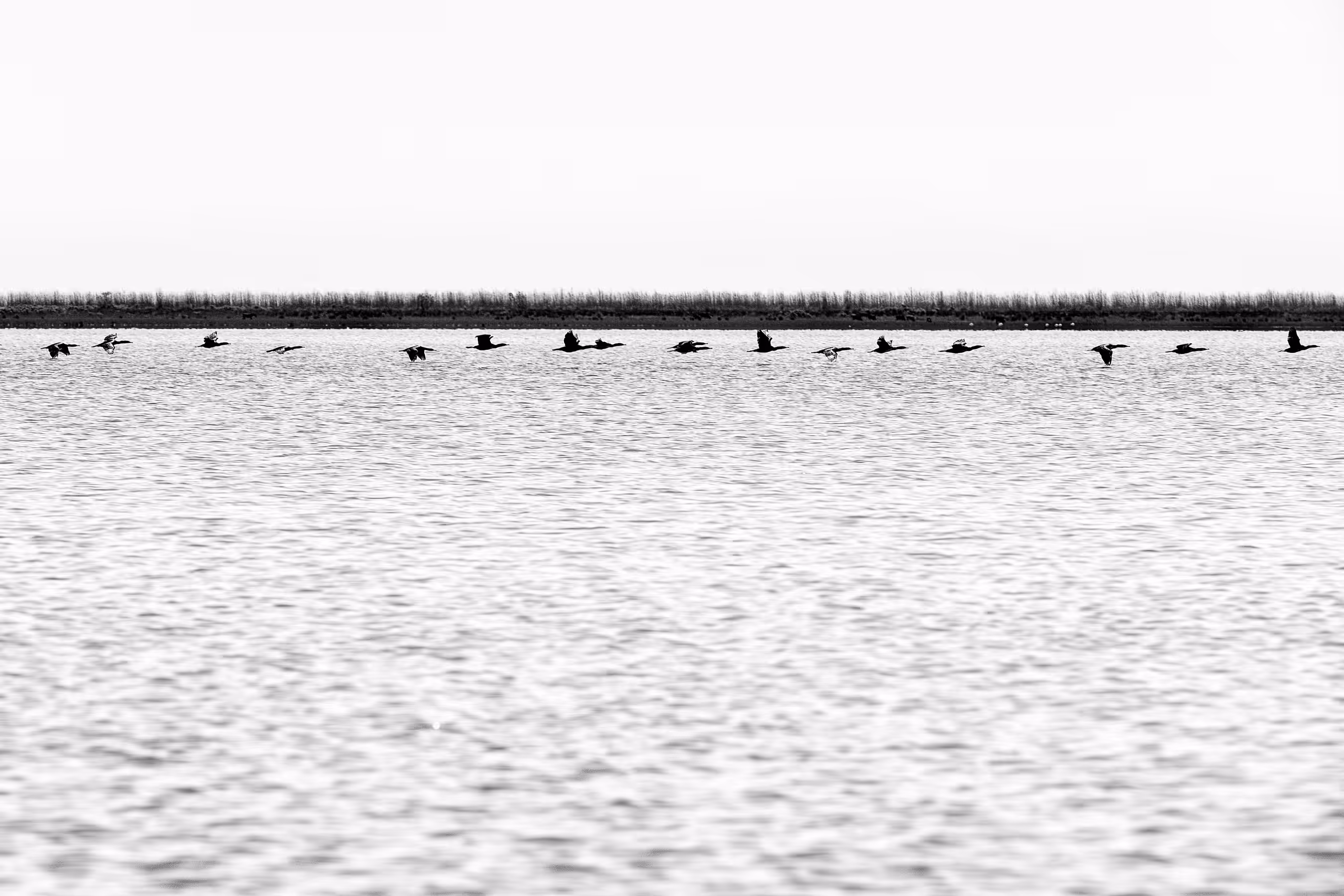 Two Lines