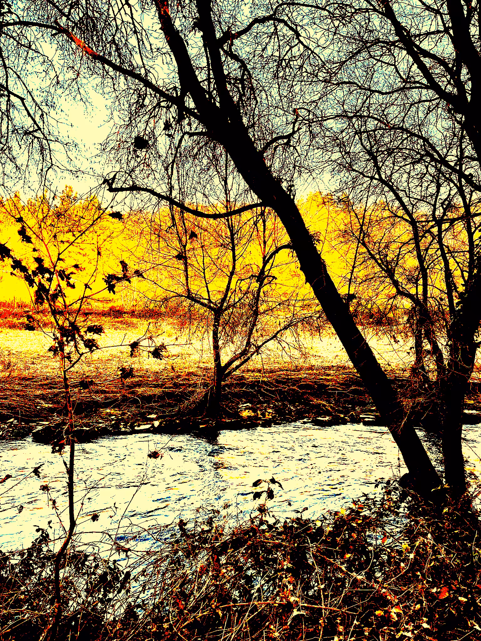 Peacefull sights